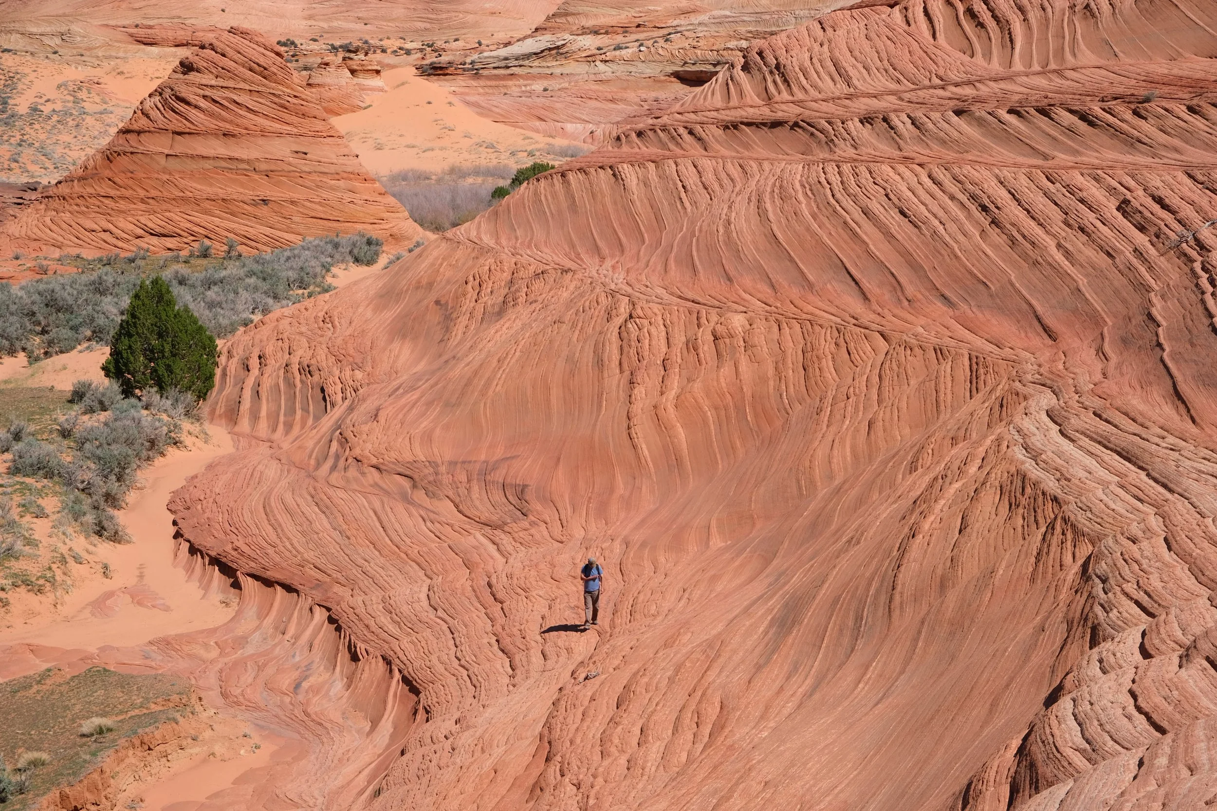 Buckskin Gulch, Kanab, Utah