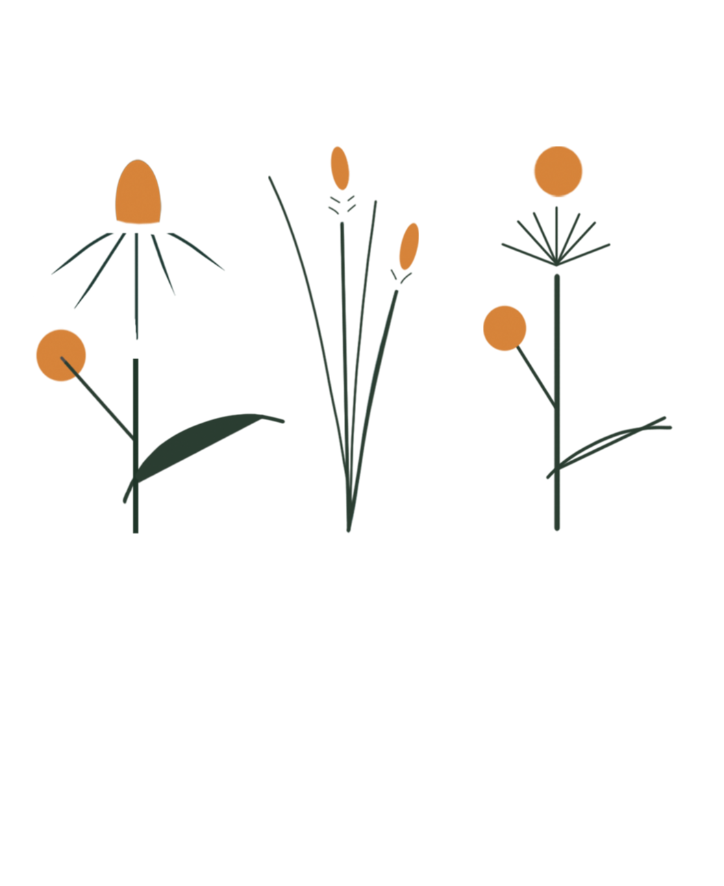 Meadow Trio bundle graphic