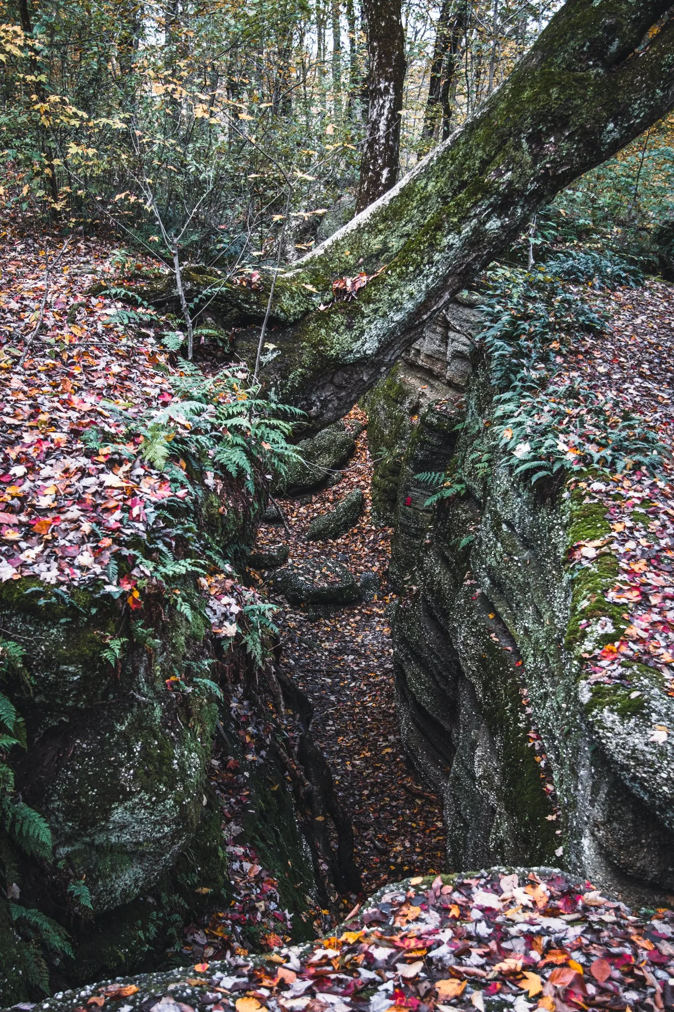 ledges-74.jpg