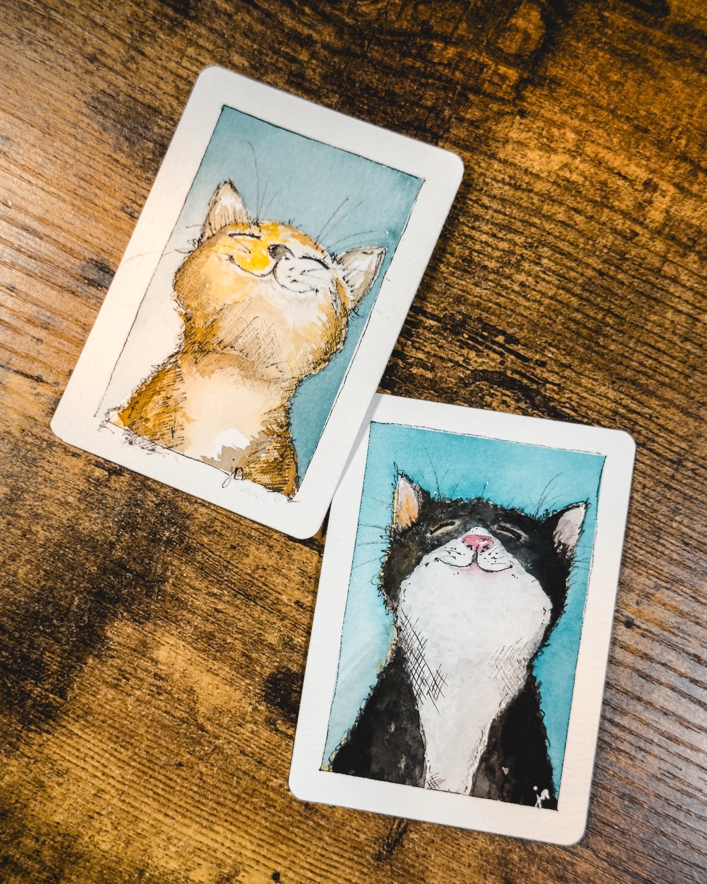 I was asked if I could make a tuxedo cat version of the first cat painting &mdash; what do you think?

#tuxedocats #watercolorartist #catpainting #artchallenges