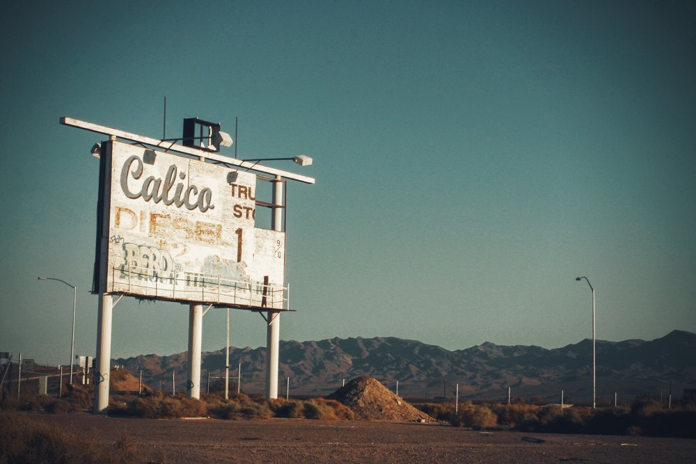 calico_5181 copy.jpg
