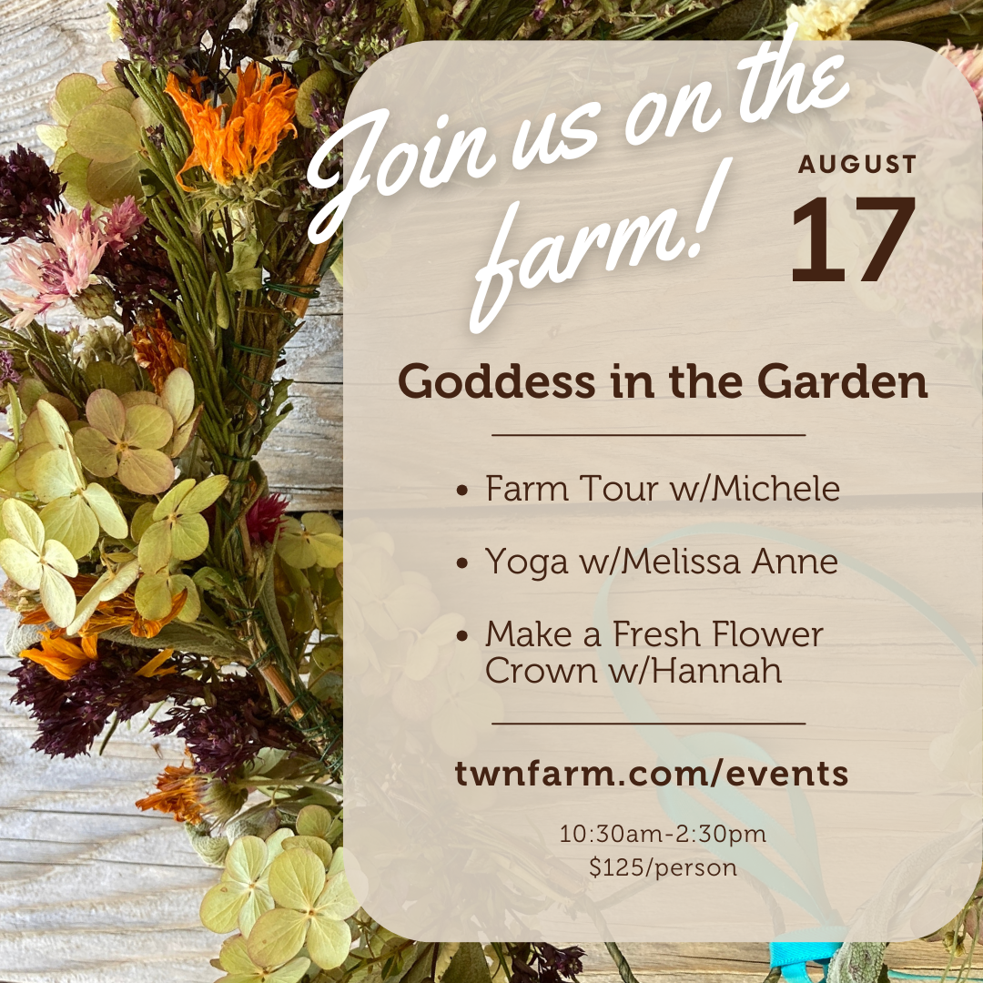 2025 August 17 Goddess in the Garden.png