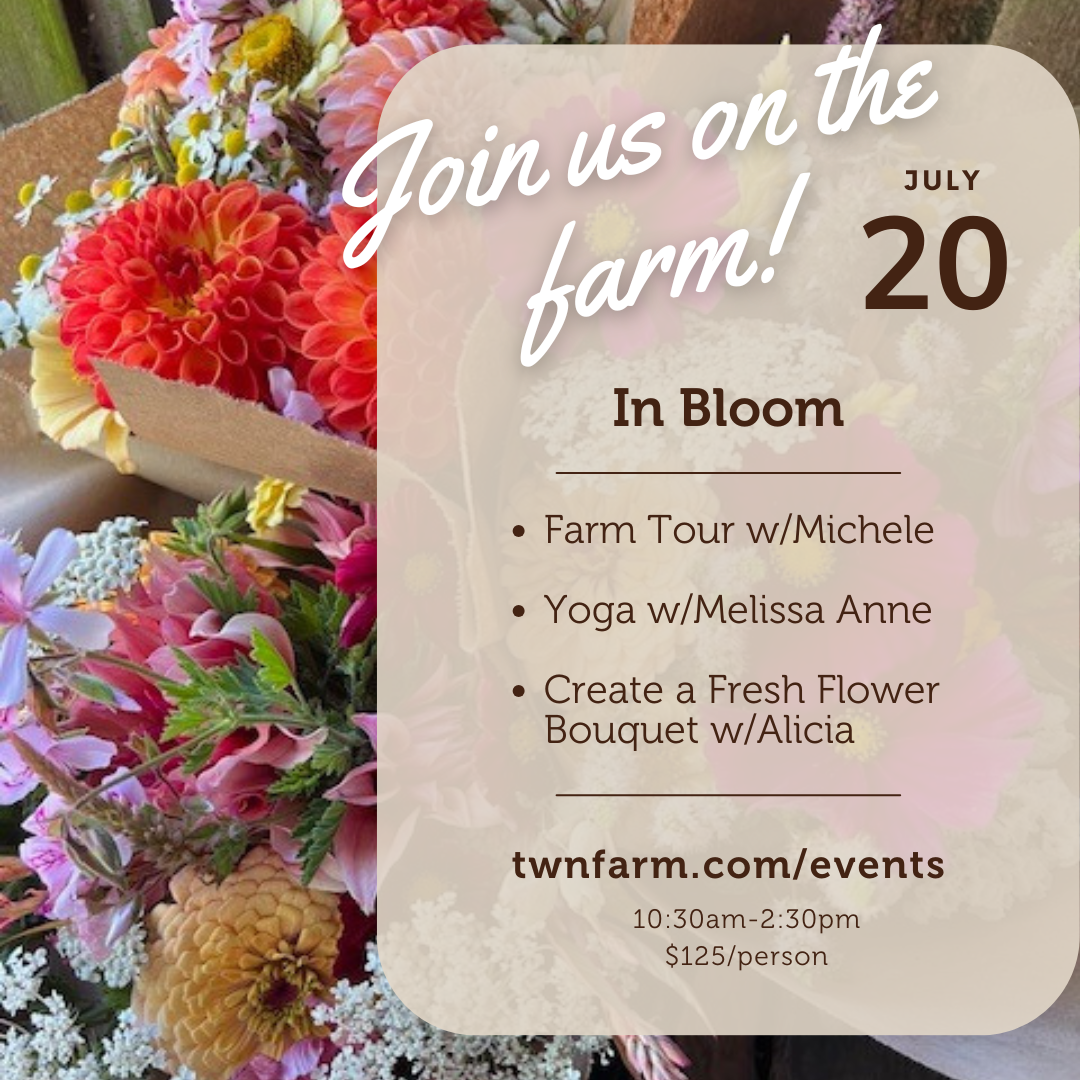 2025 July 20 In Bloom.png