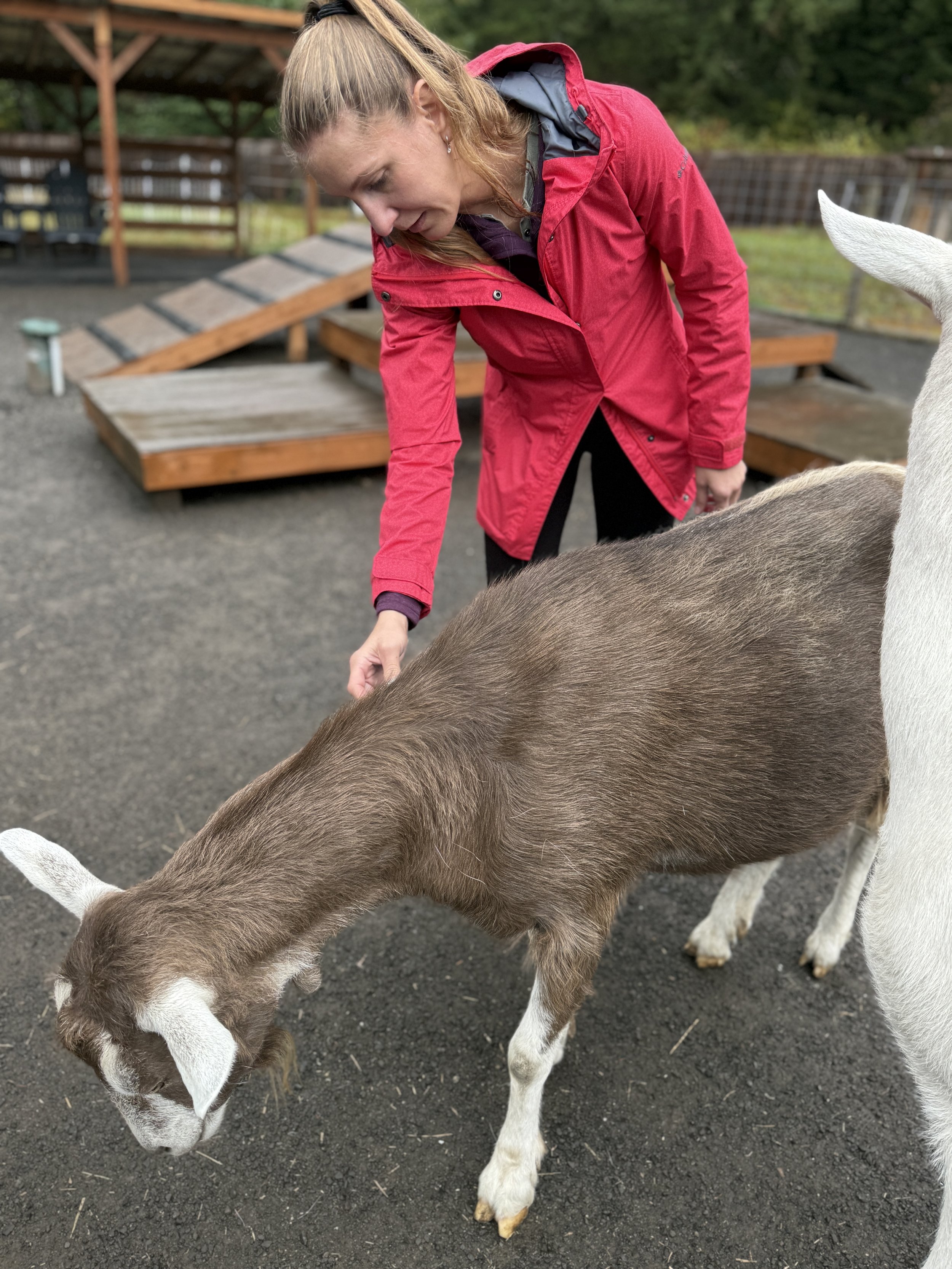 Angelina 2025 September 21 Awakening Autumn Farm Day Retreat at TWN 30.jpg