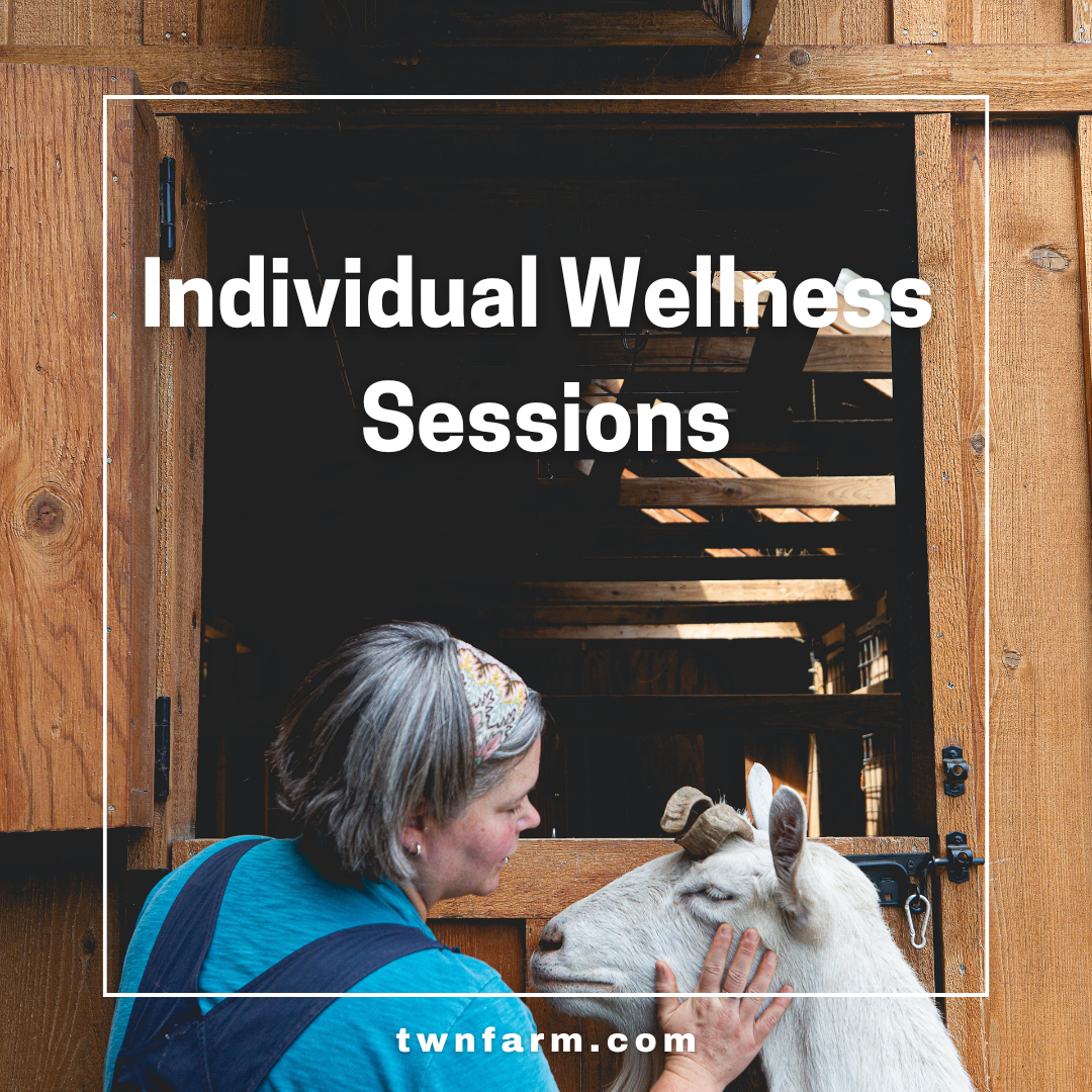 Individual Wellness Sessions