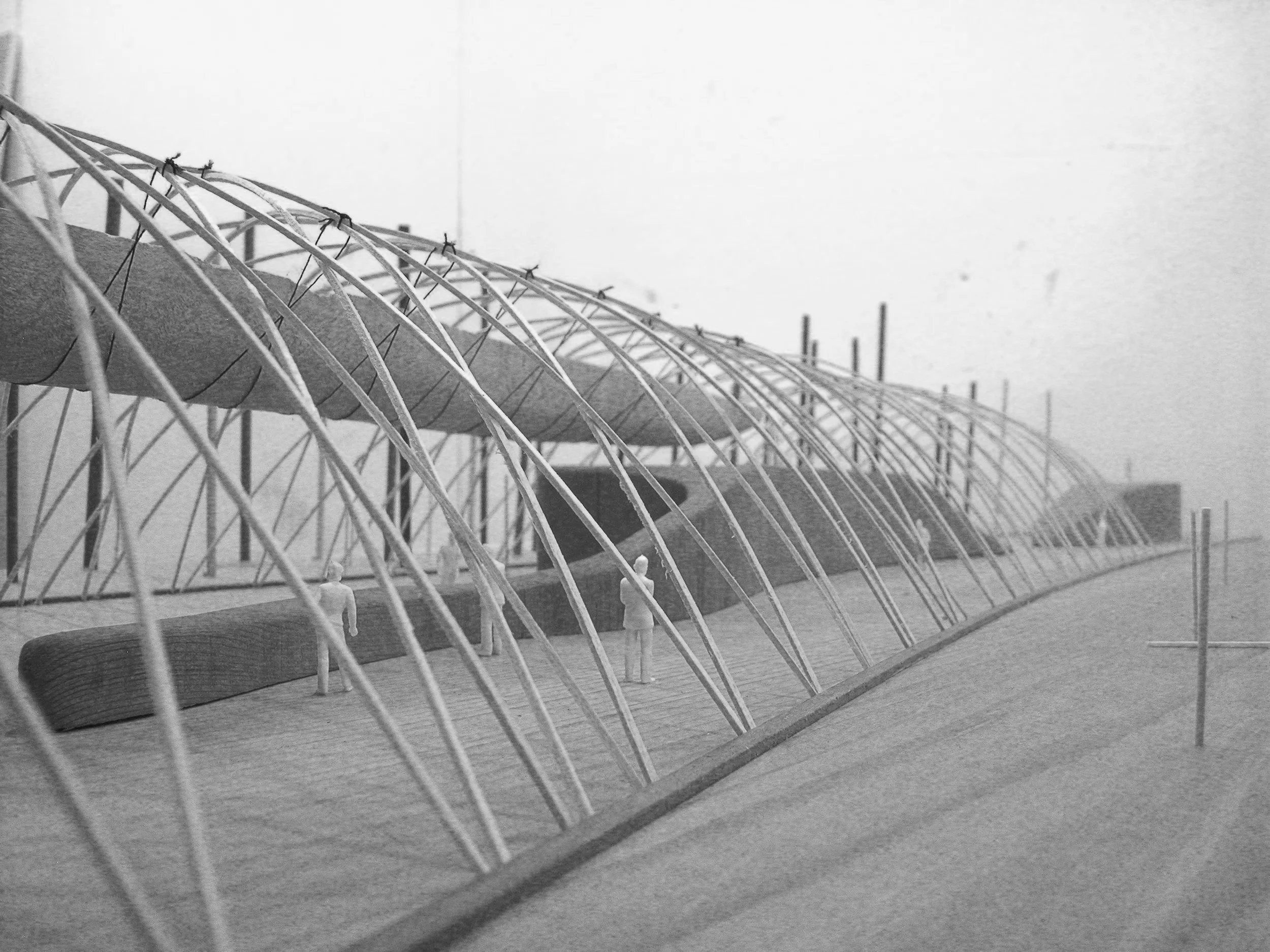 DSCN2654.jpg
