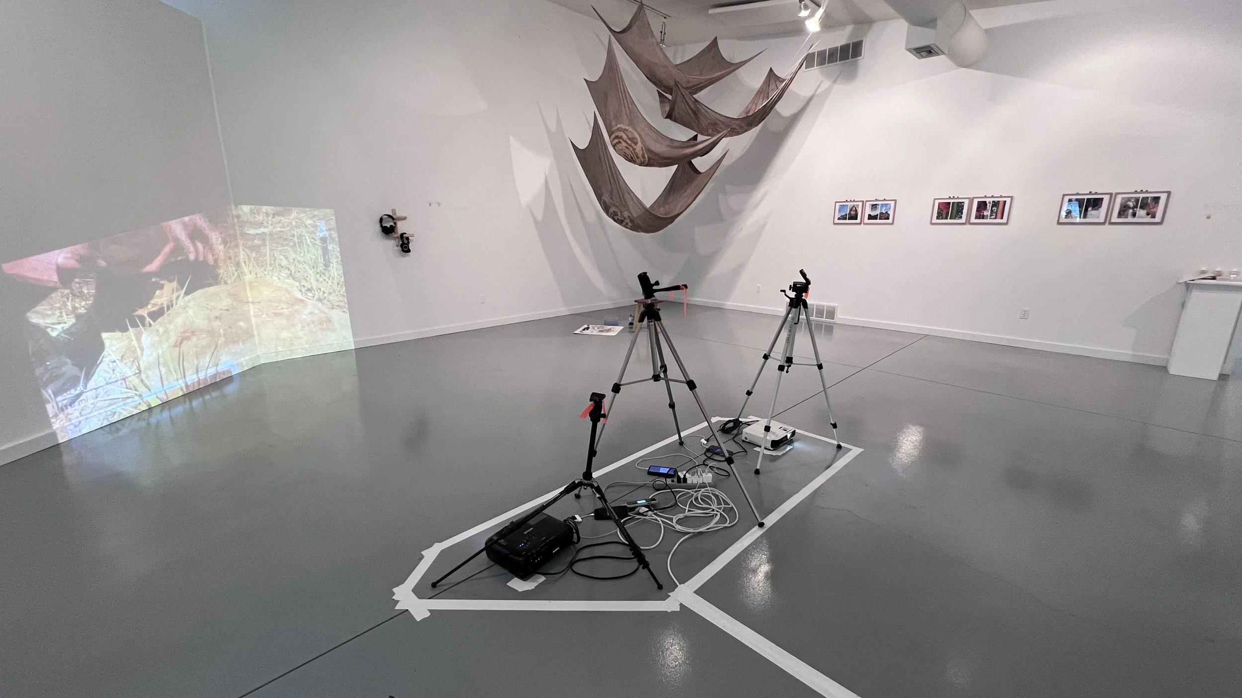 art environment life everything, durham art gallery, 2023.