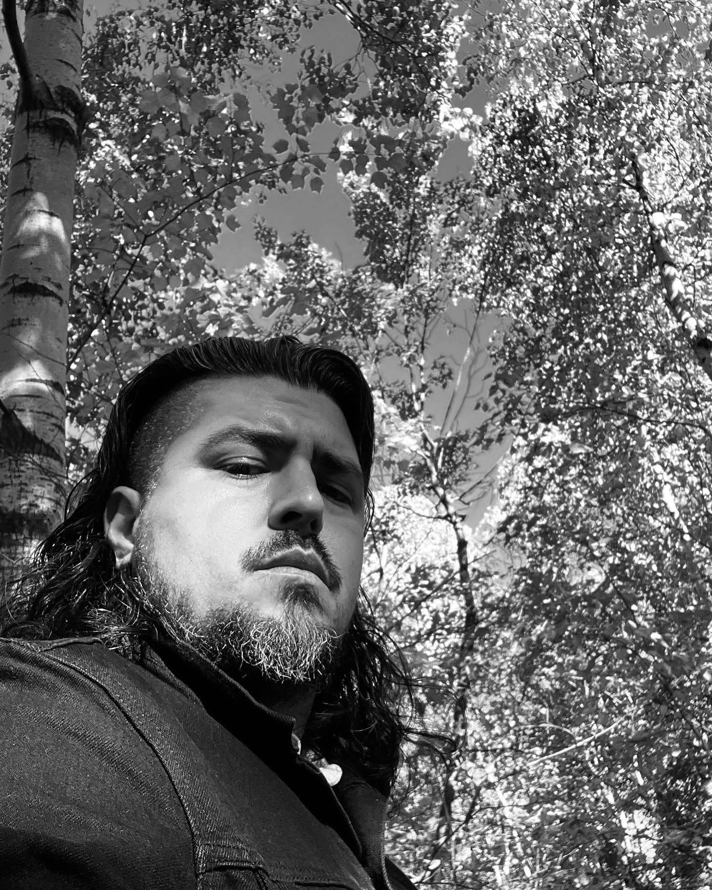 in the forest, 2020s. 