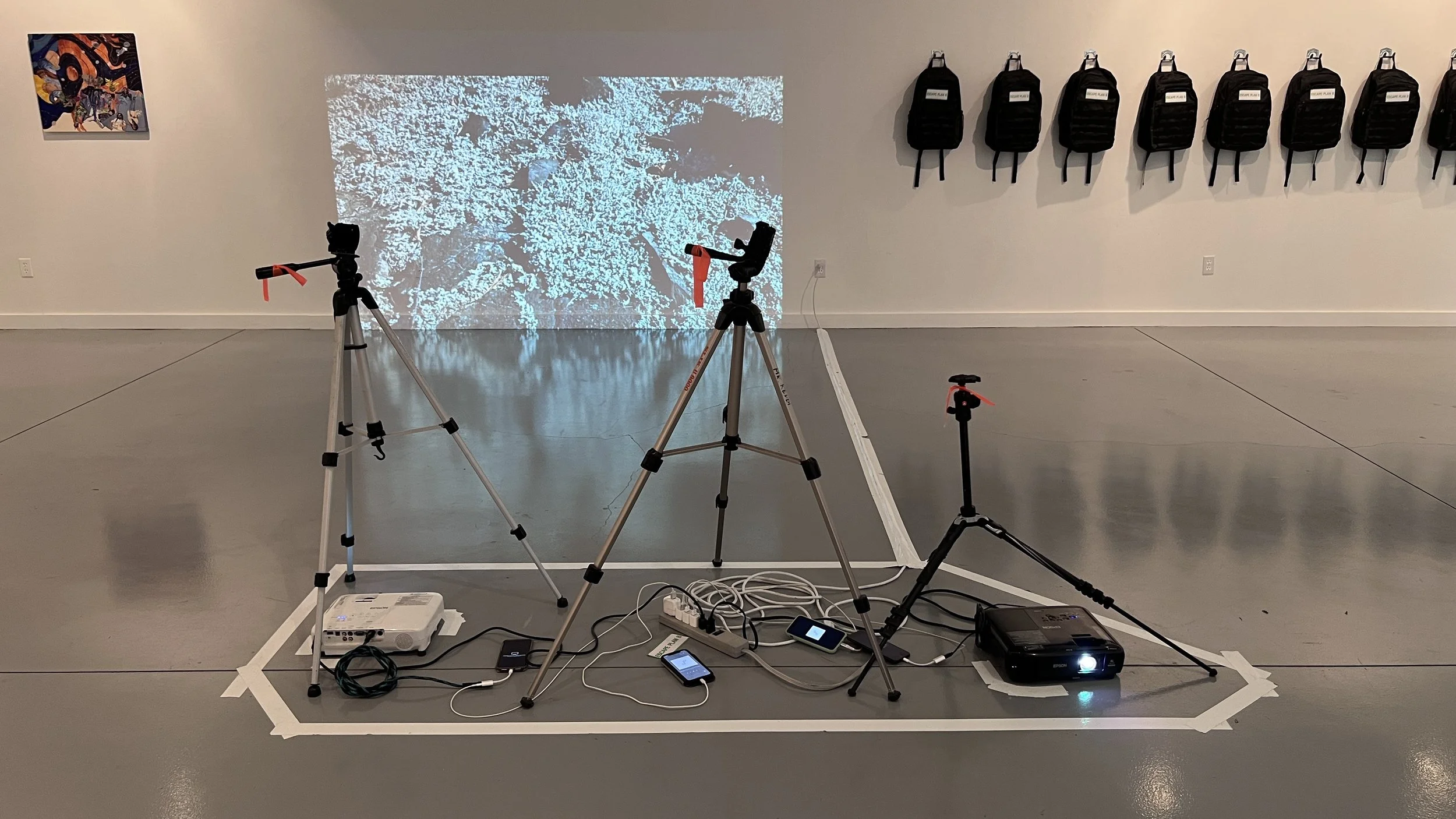 art environment life everything, durham art gallery, 2023.