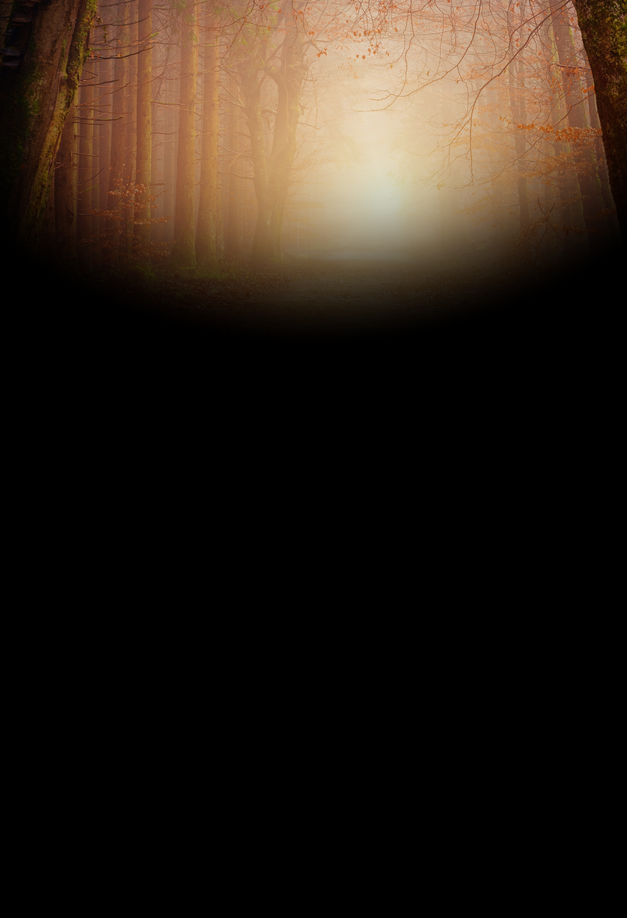 heer.png