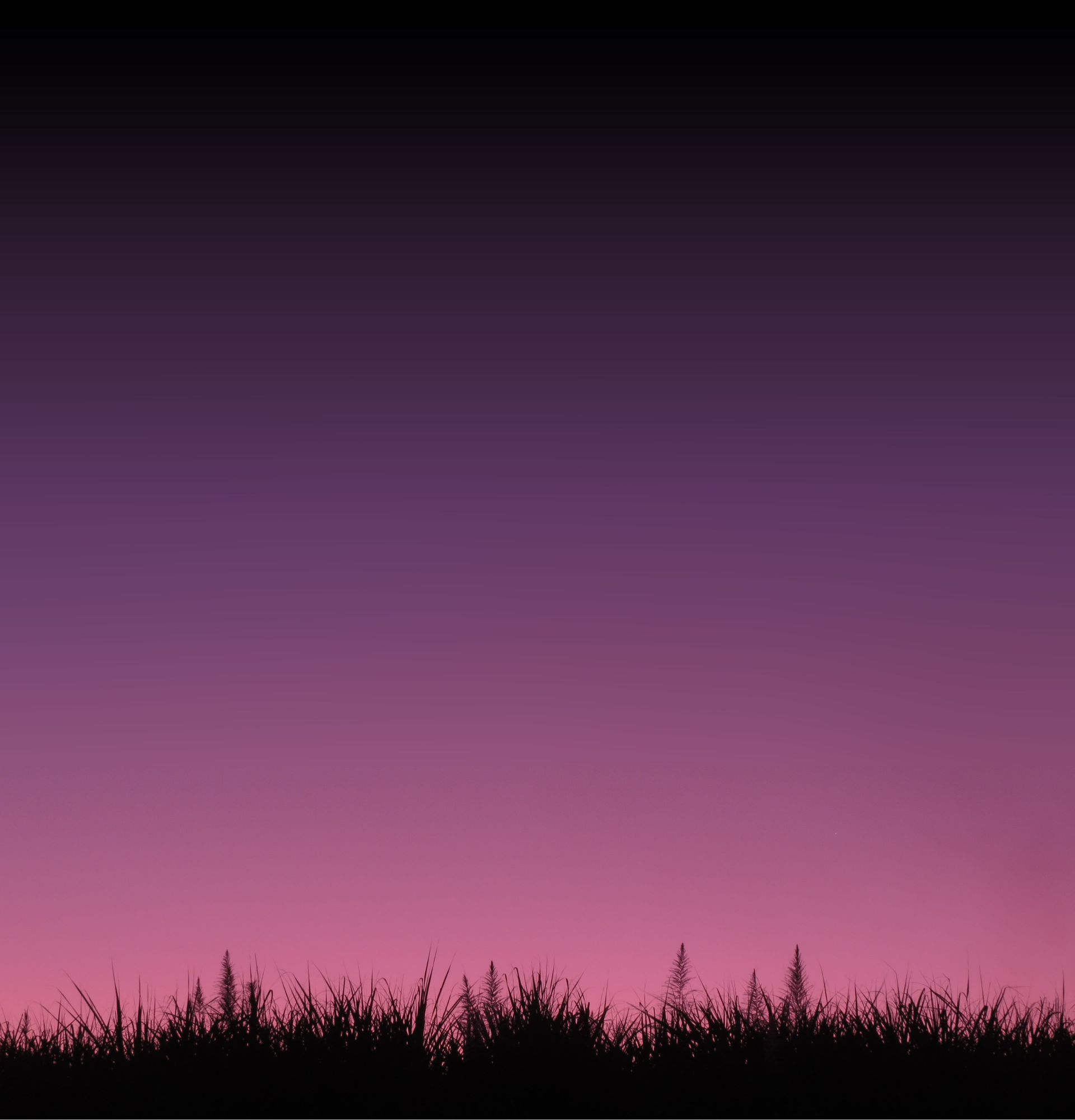 dusk.png