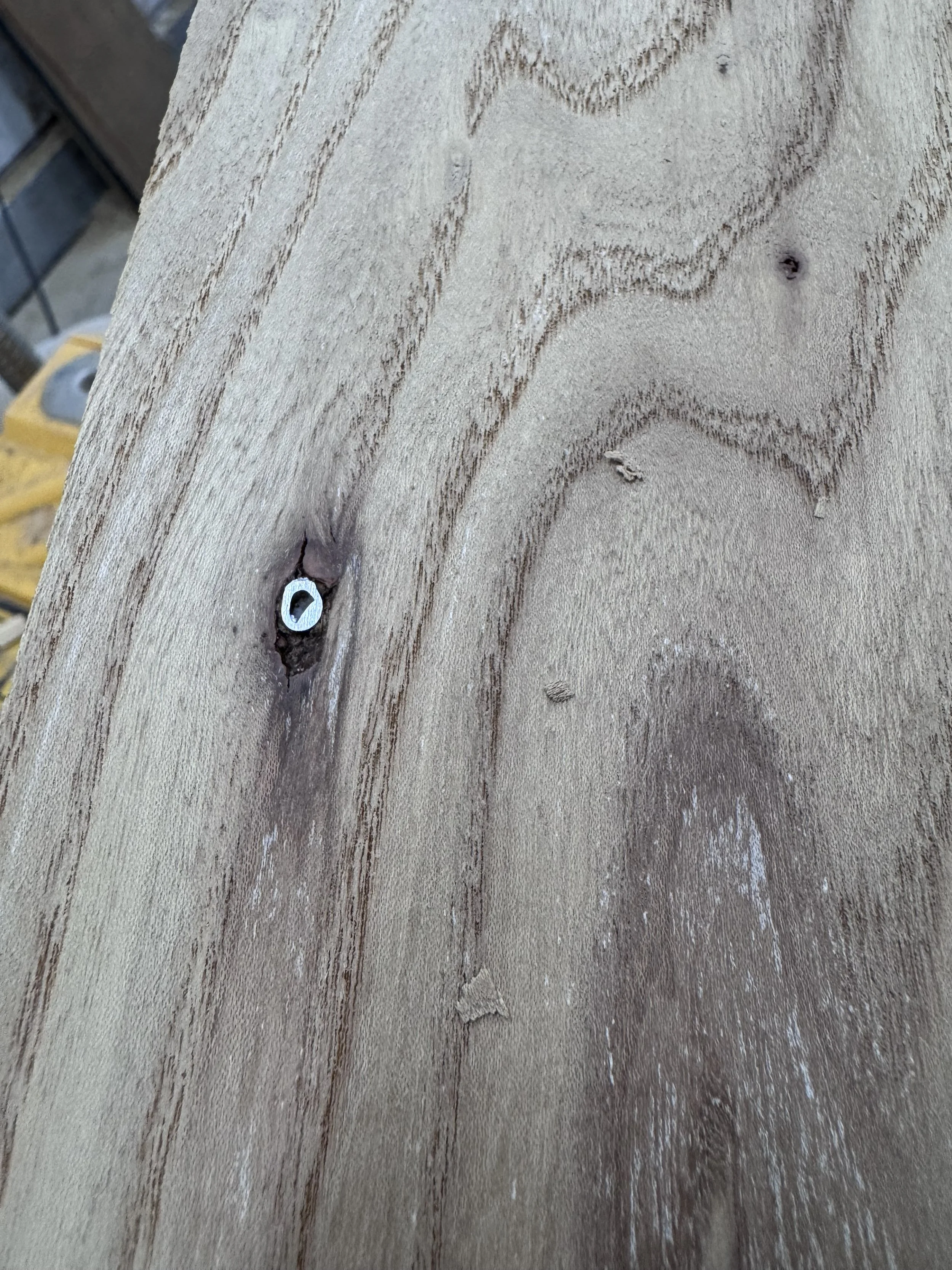 Kiln Dried Urban American Elm