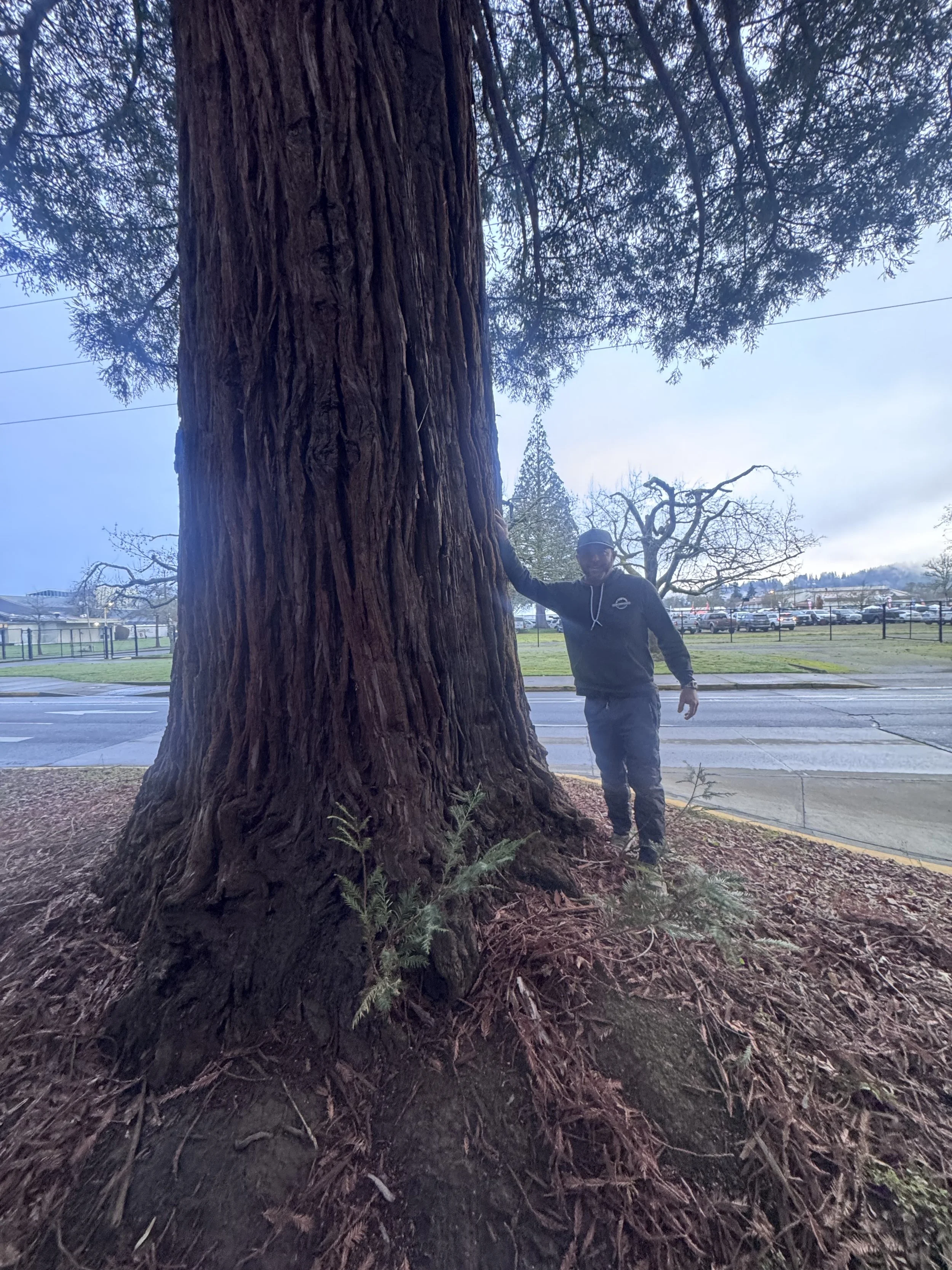 Five Feet of Snow and a 12-Inch Stump