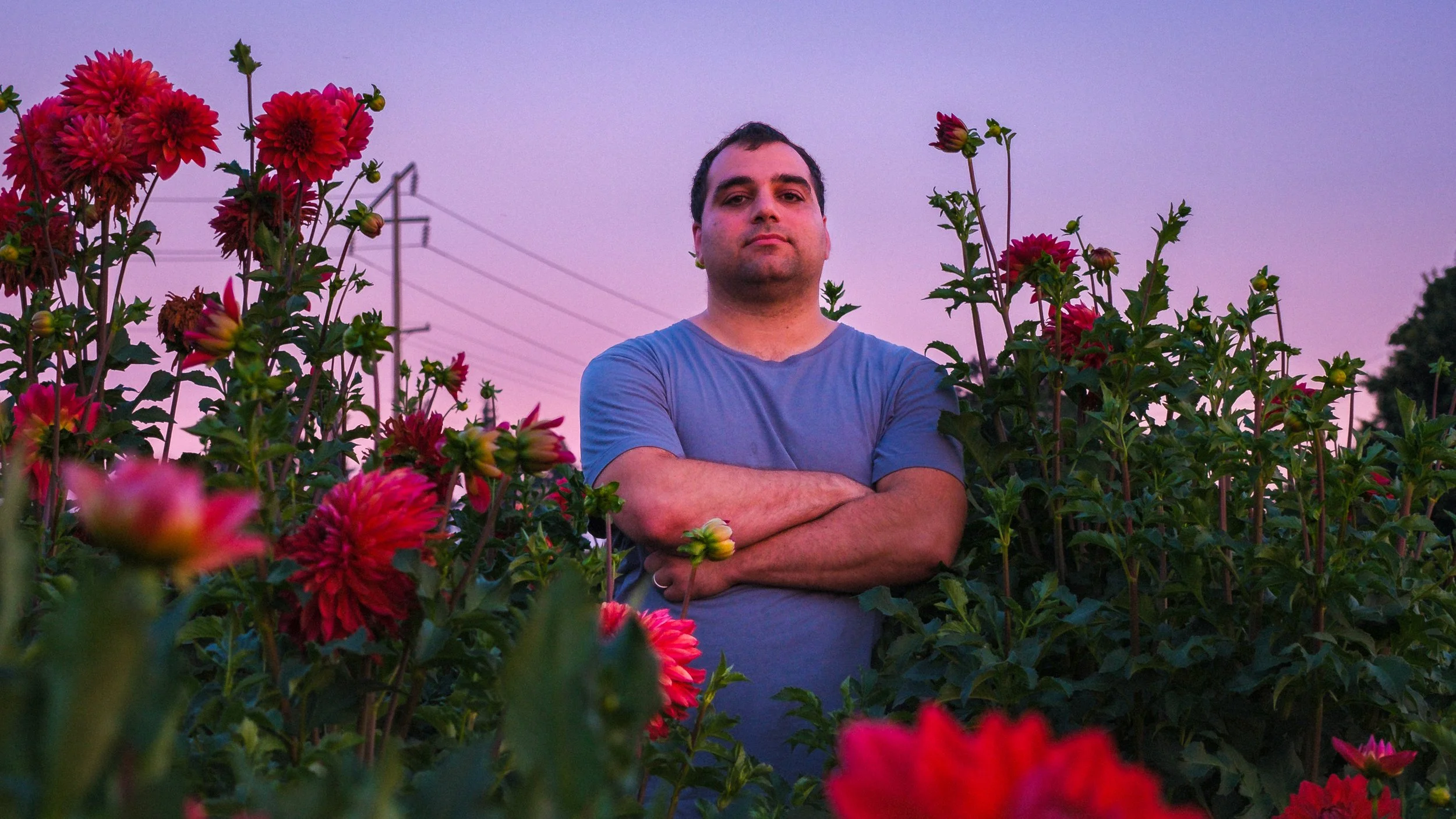 Eldest_Young_Dahlia-37 2.JPG