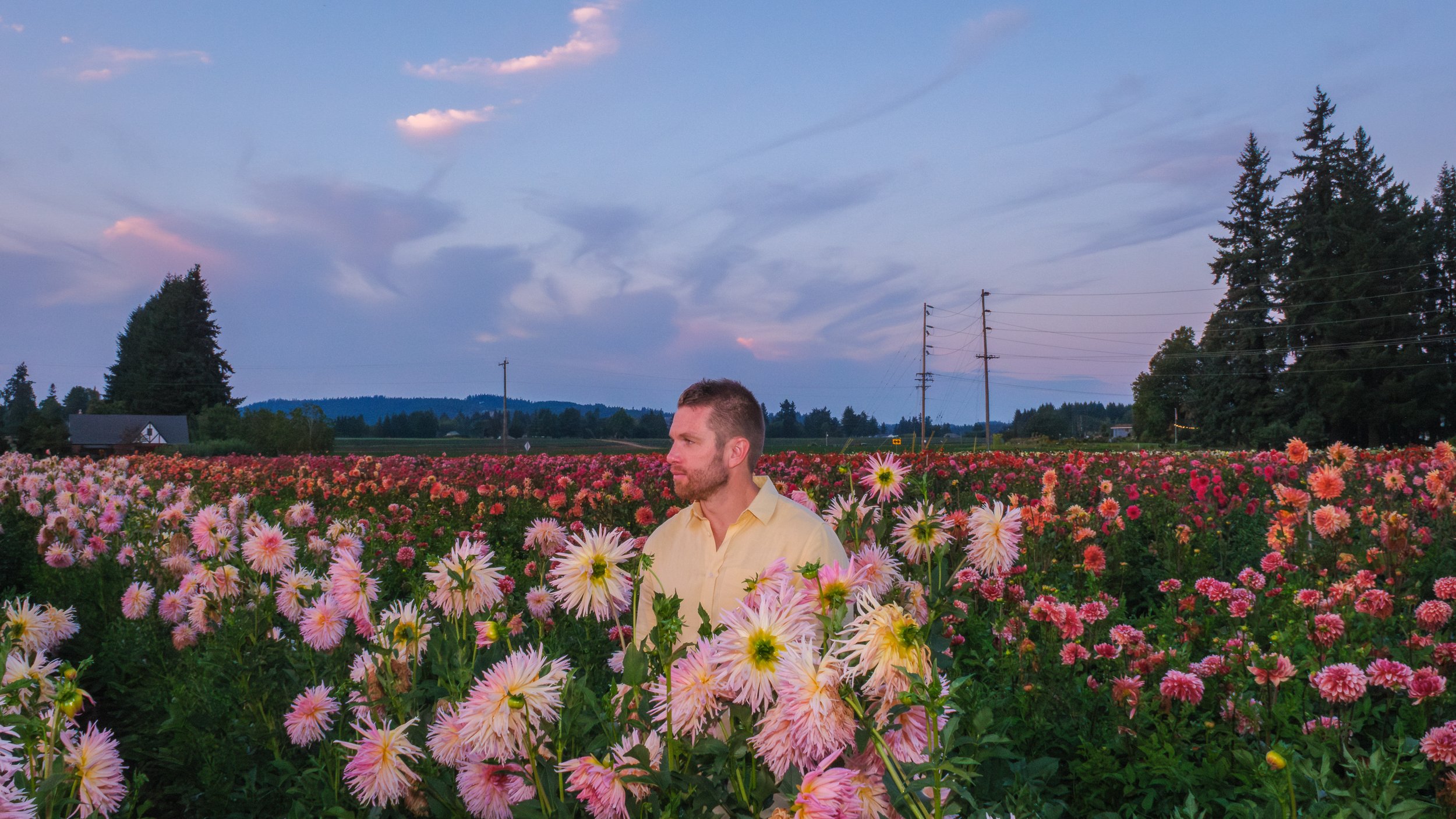 Eldest_Young_Dahlia-41 2.JPG