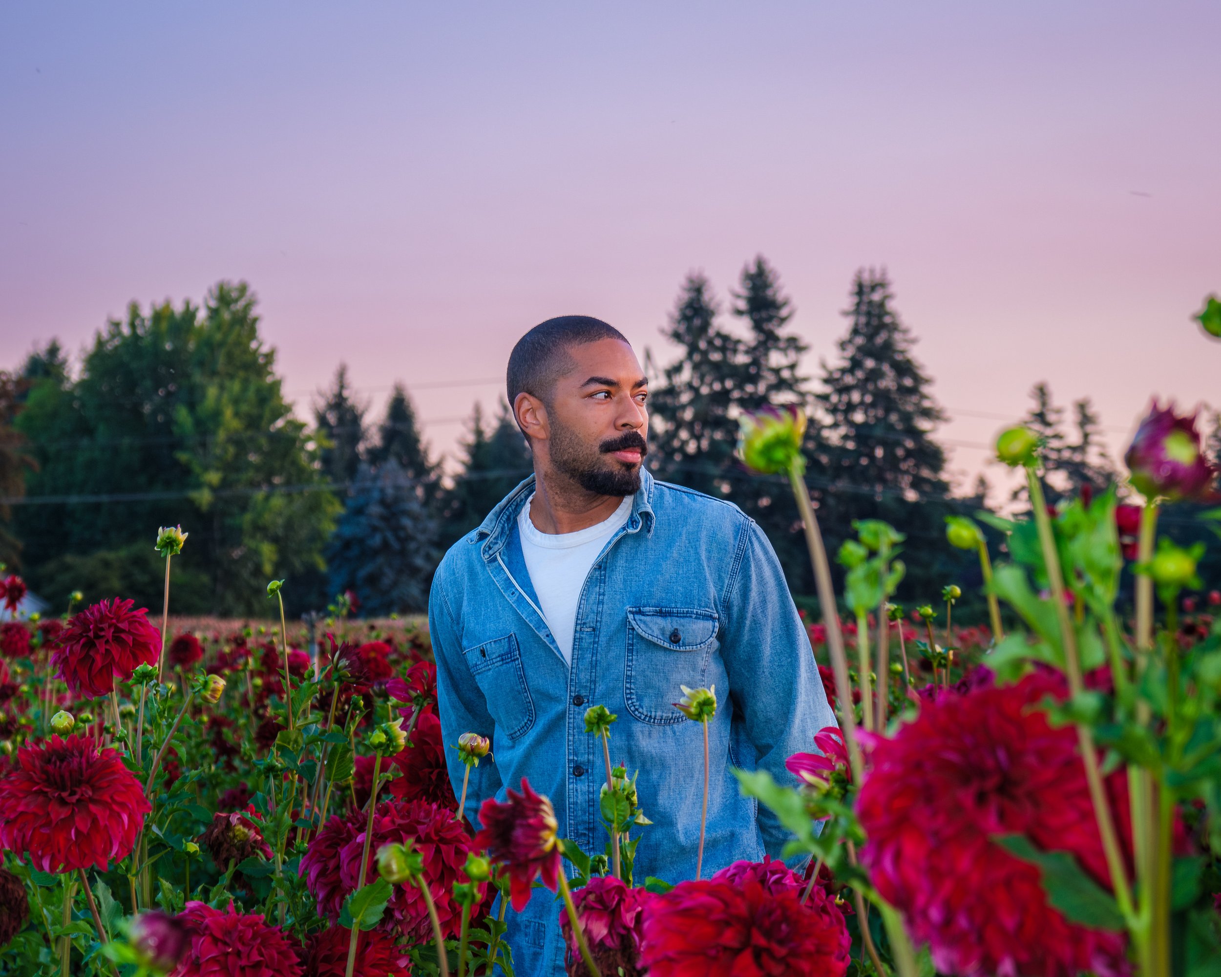 Eldest_Young_Dahlia-26 2.JPG