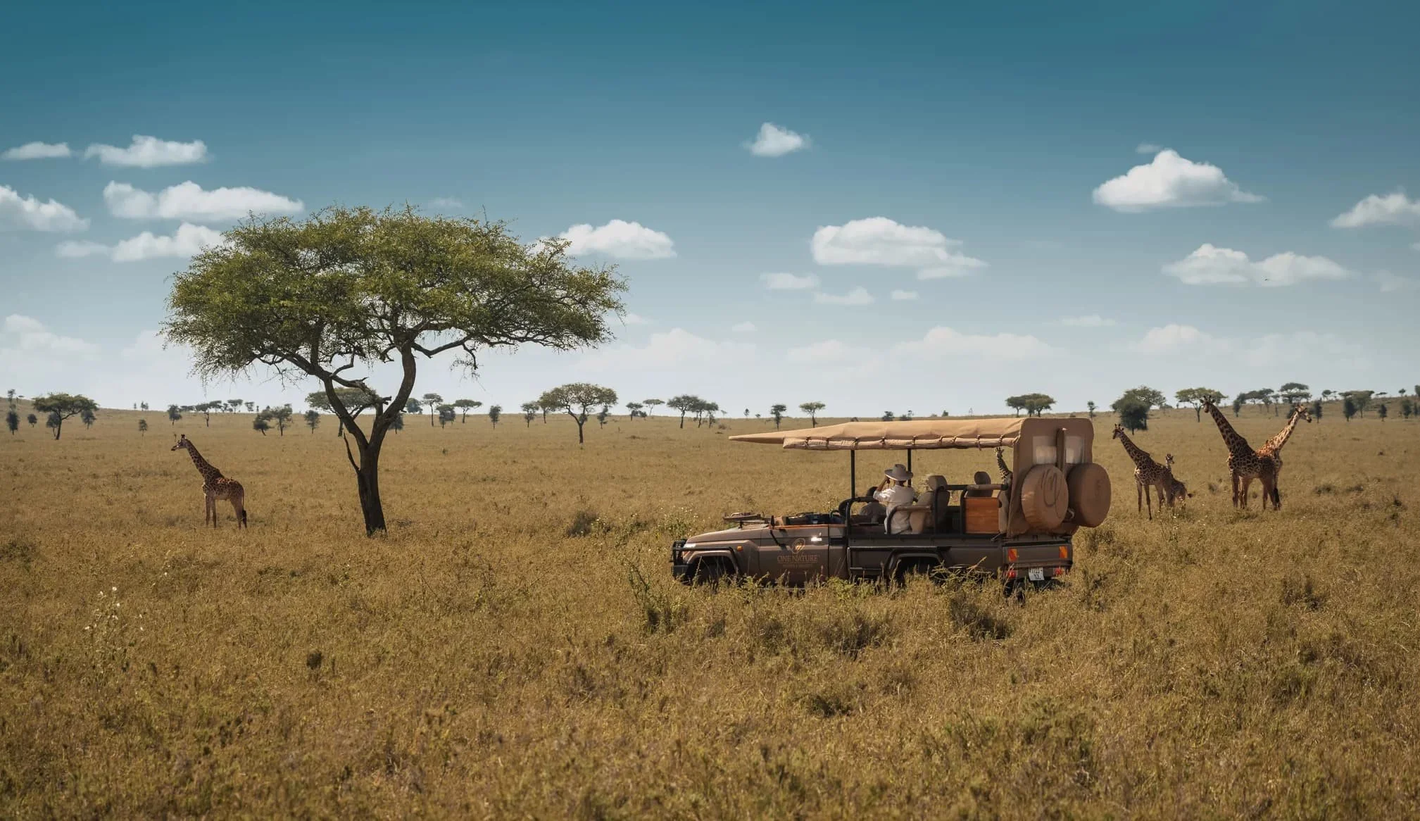 Nyaruswiga - 6.jpg