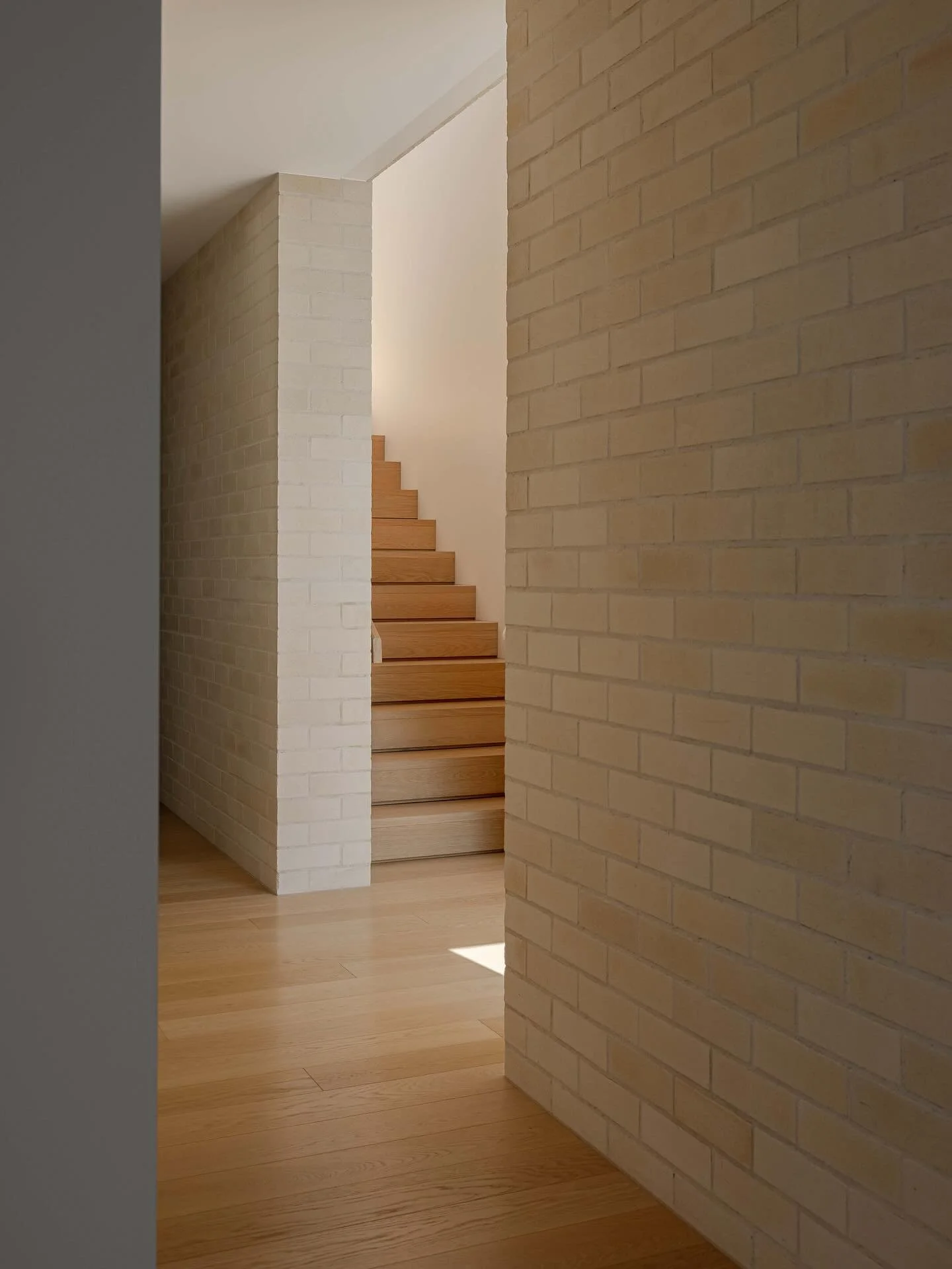 Three levels of our Curl Curl 04 project are connected via a circulation zone on the western side of the site. Sunlight is modulated through louvres over windows and skylights creating shadow play and delight. Builder @lawsonandlovell Photos @cegstud