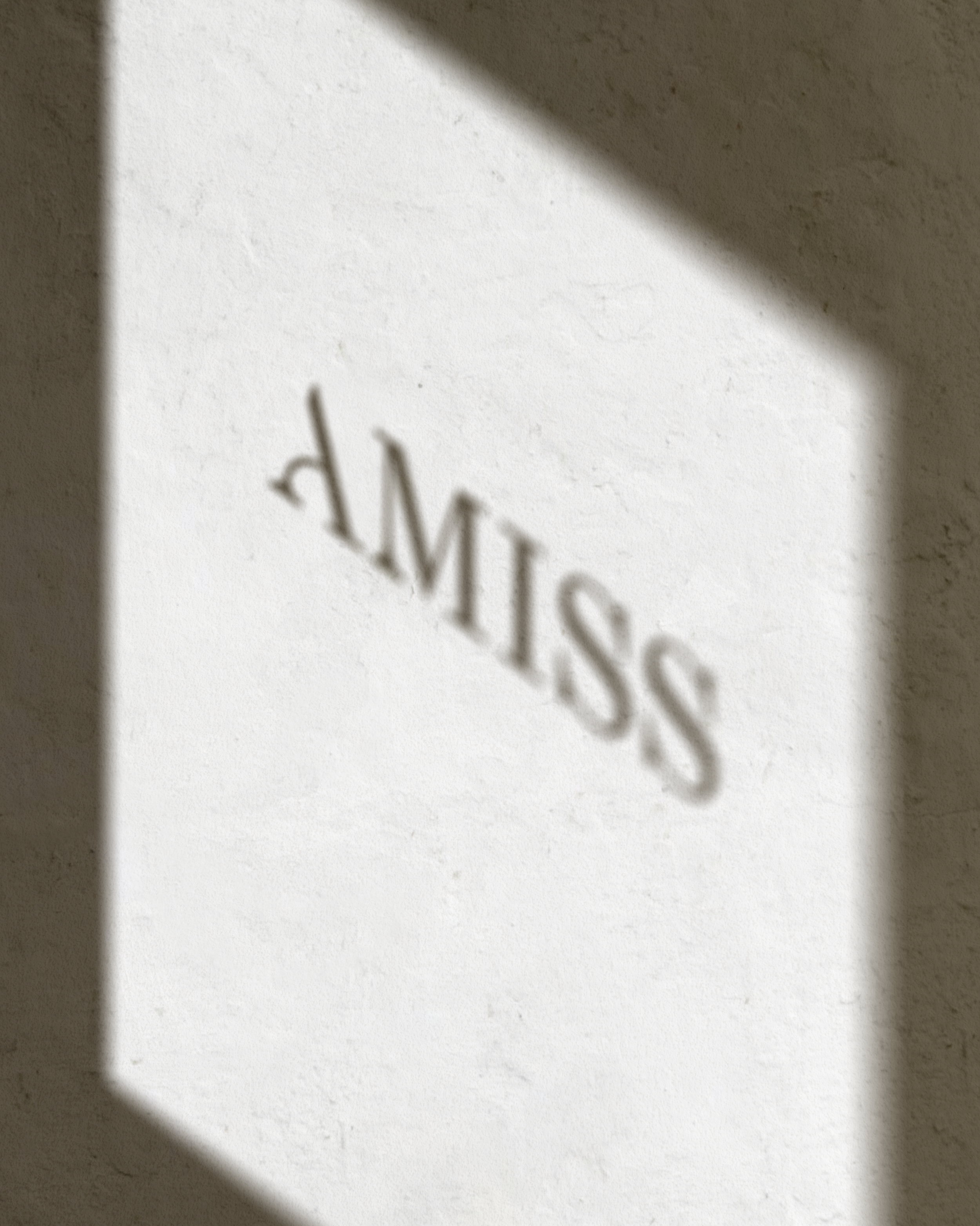amissshadow.png
