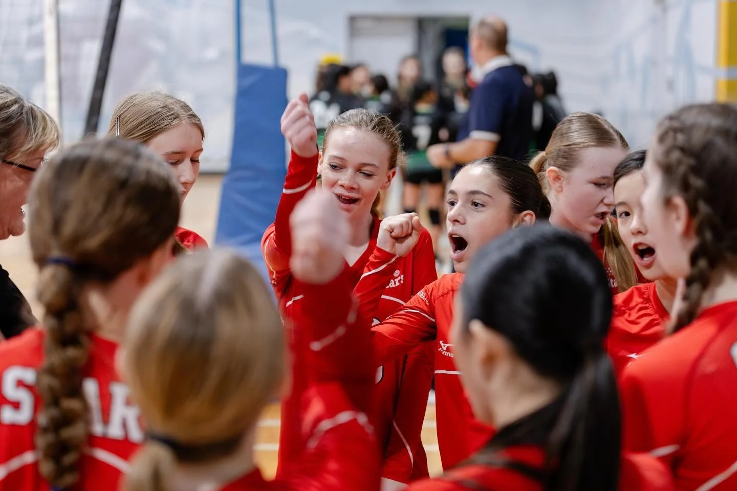 costs-fees-stars-volleyball