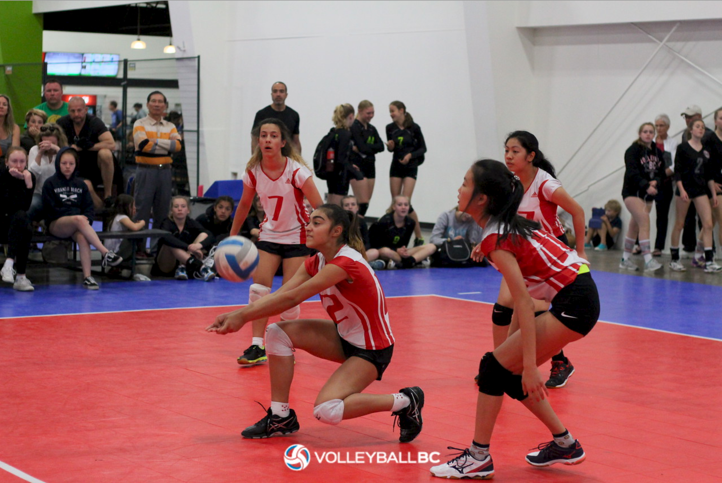 Screen Shot 2018-05-07 at 11.08.21 AM.png