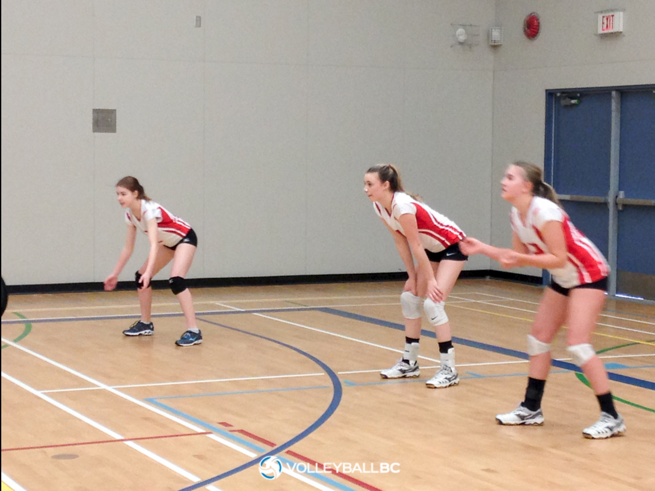 Screen Shot 2018-01-29 at 12.03.36 AM.png