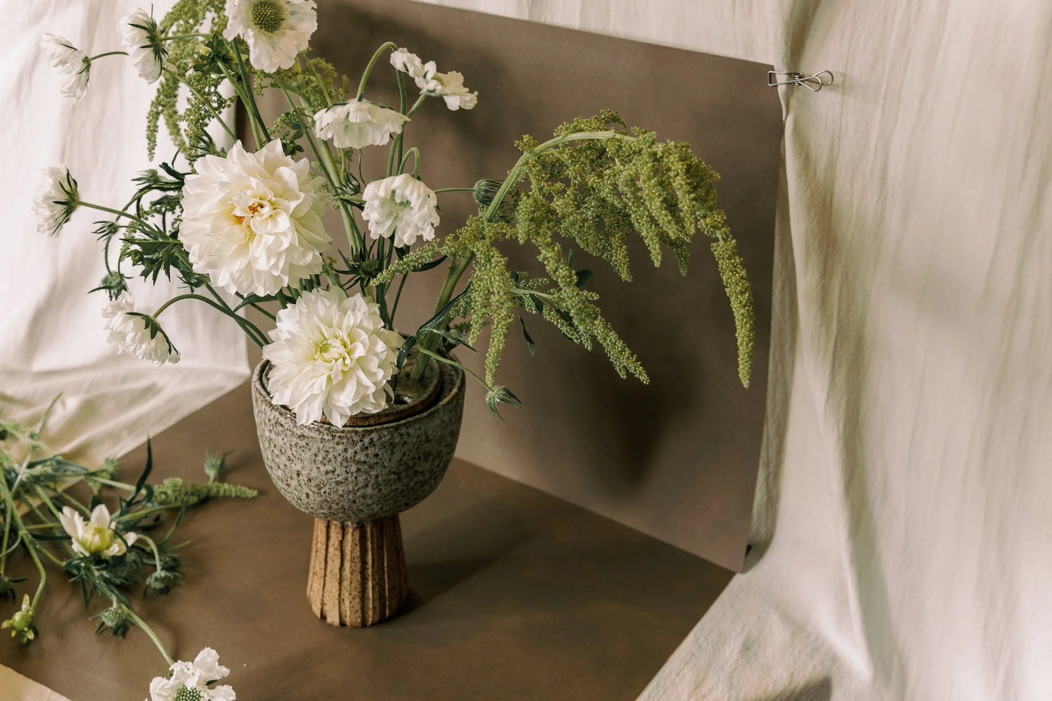 SentienceStudio-OchretheLabel-January-2026-LowRes-01-17.jpg