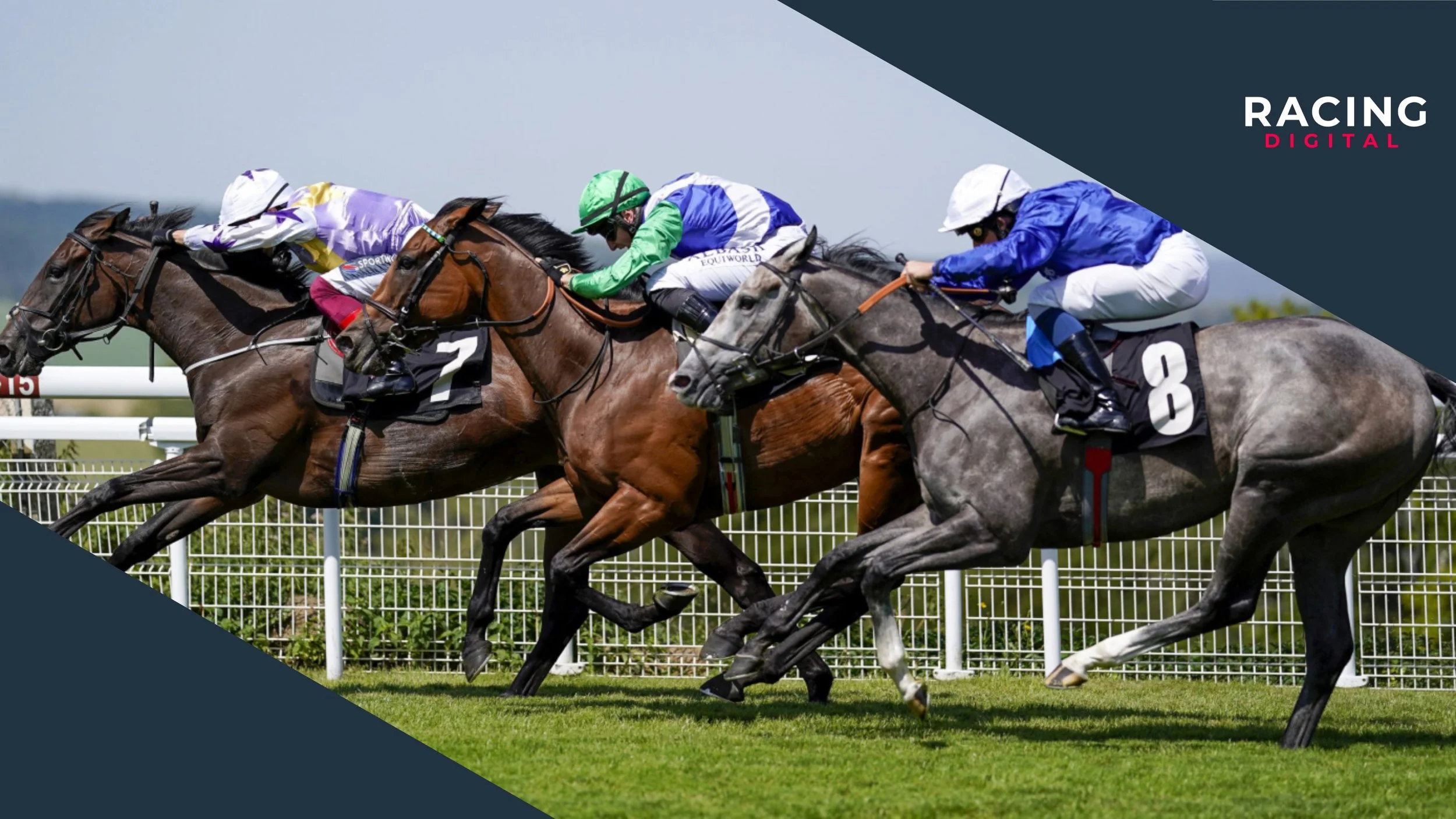 How will the Racing Digital Hub benefit racing?&nbsp;