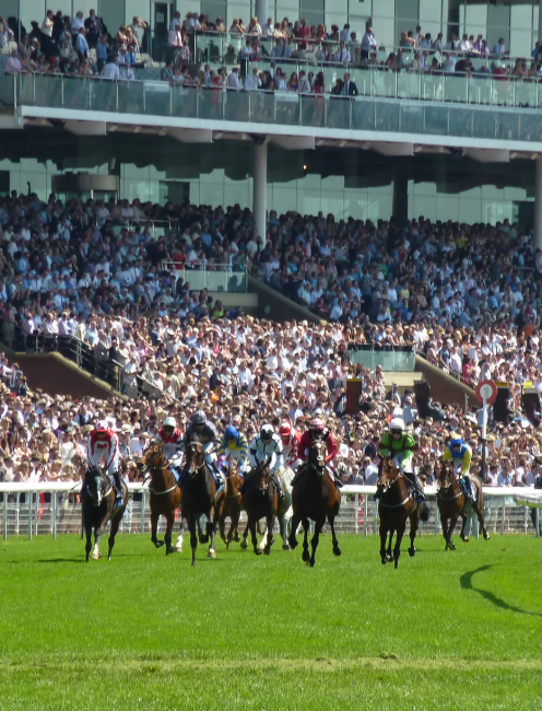 A horse racing crowd cheering the final straight