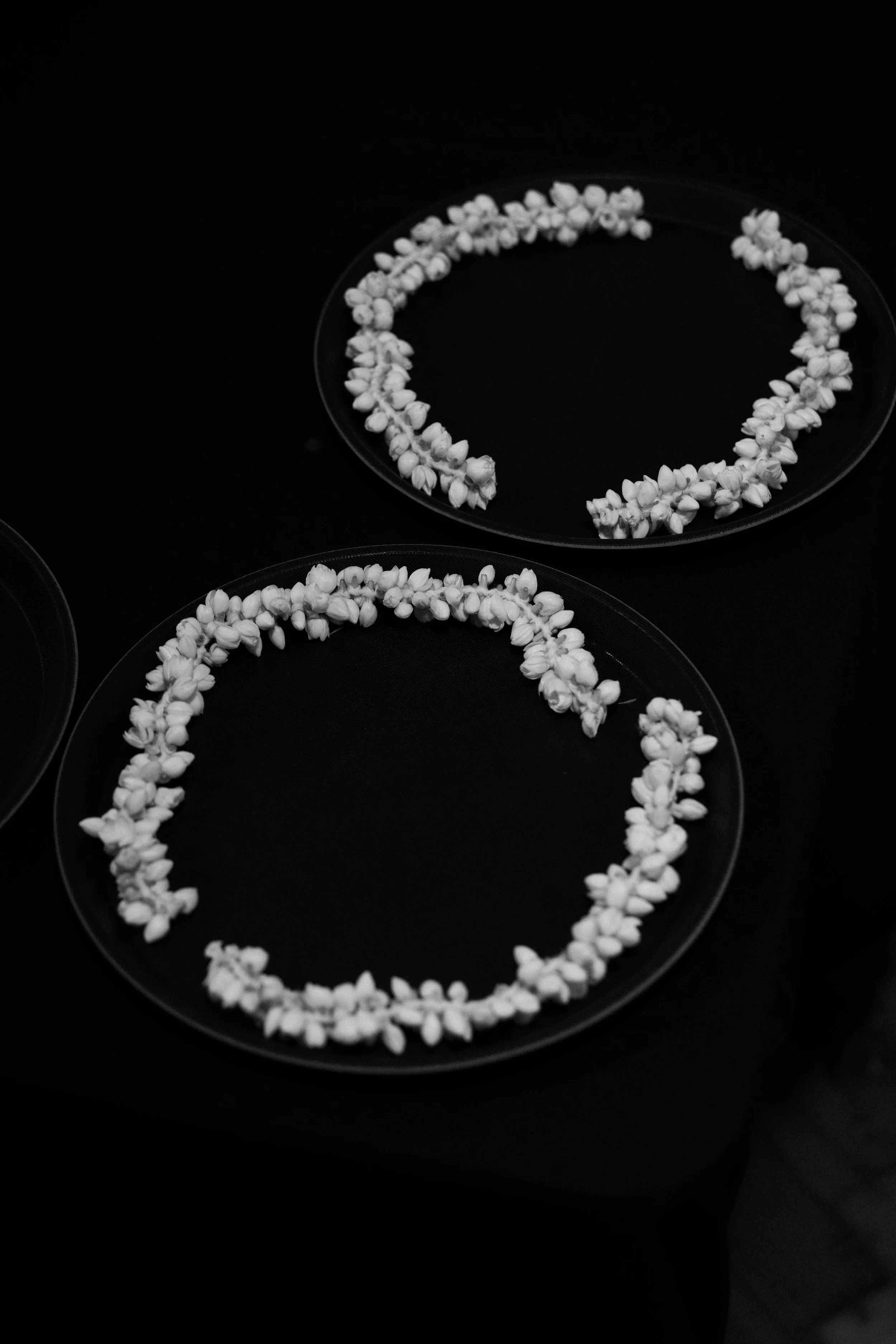 Manan Sheth -9876.jpg