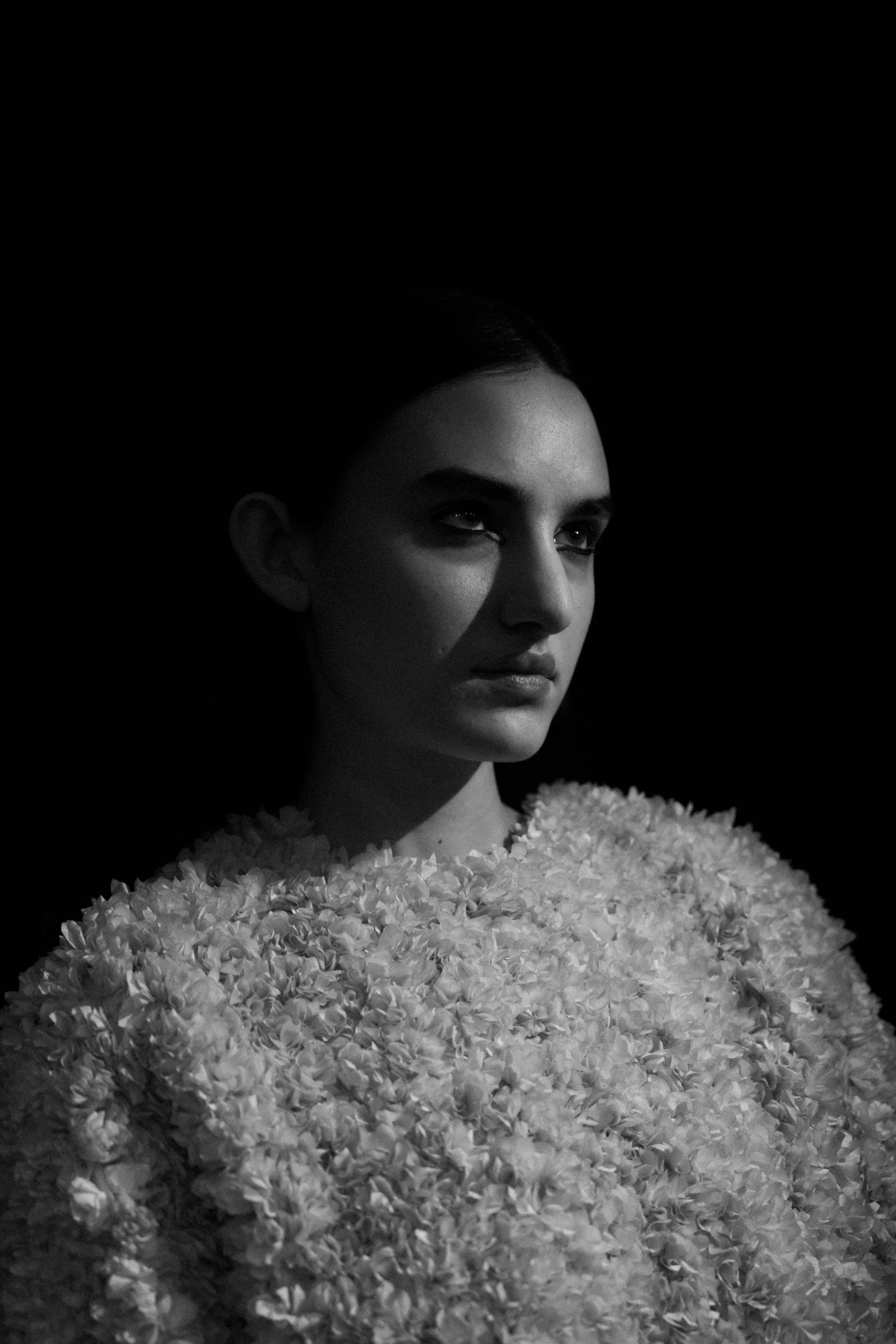 Manan Sheth -1747.jpg