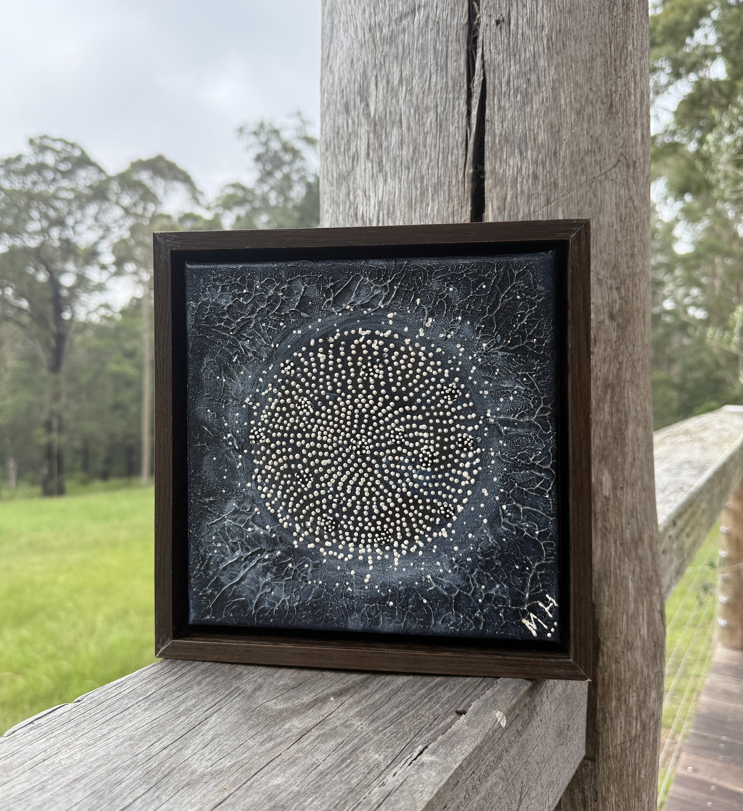 Dhawara moon mini 6Th march home pic.JPG