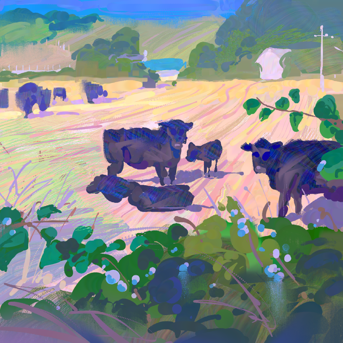 Cows.png