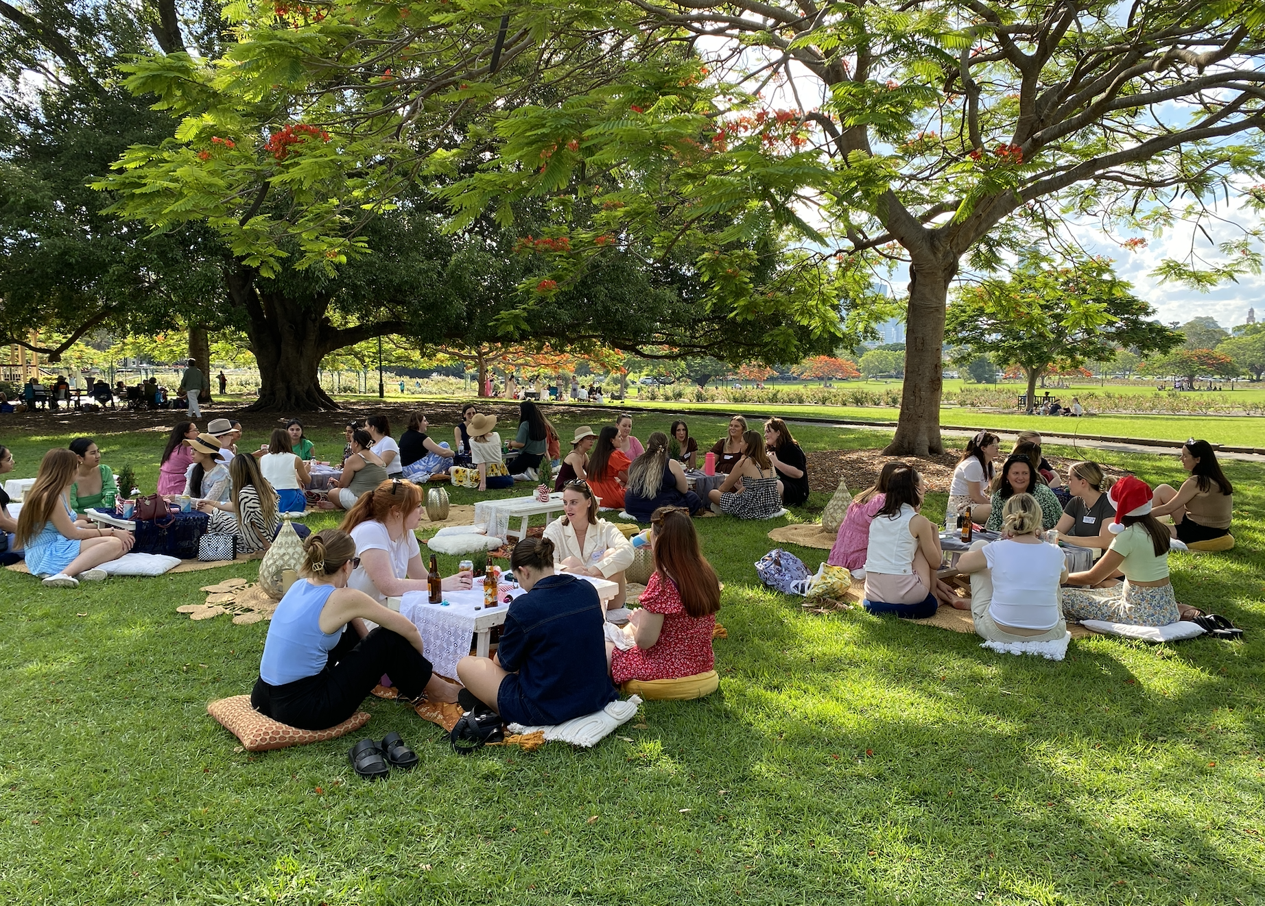 BRIS: Girls Picnic (ages 25-40)