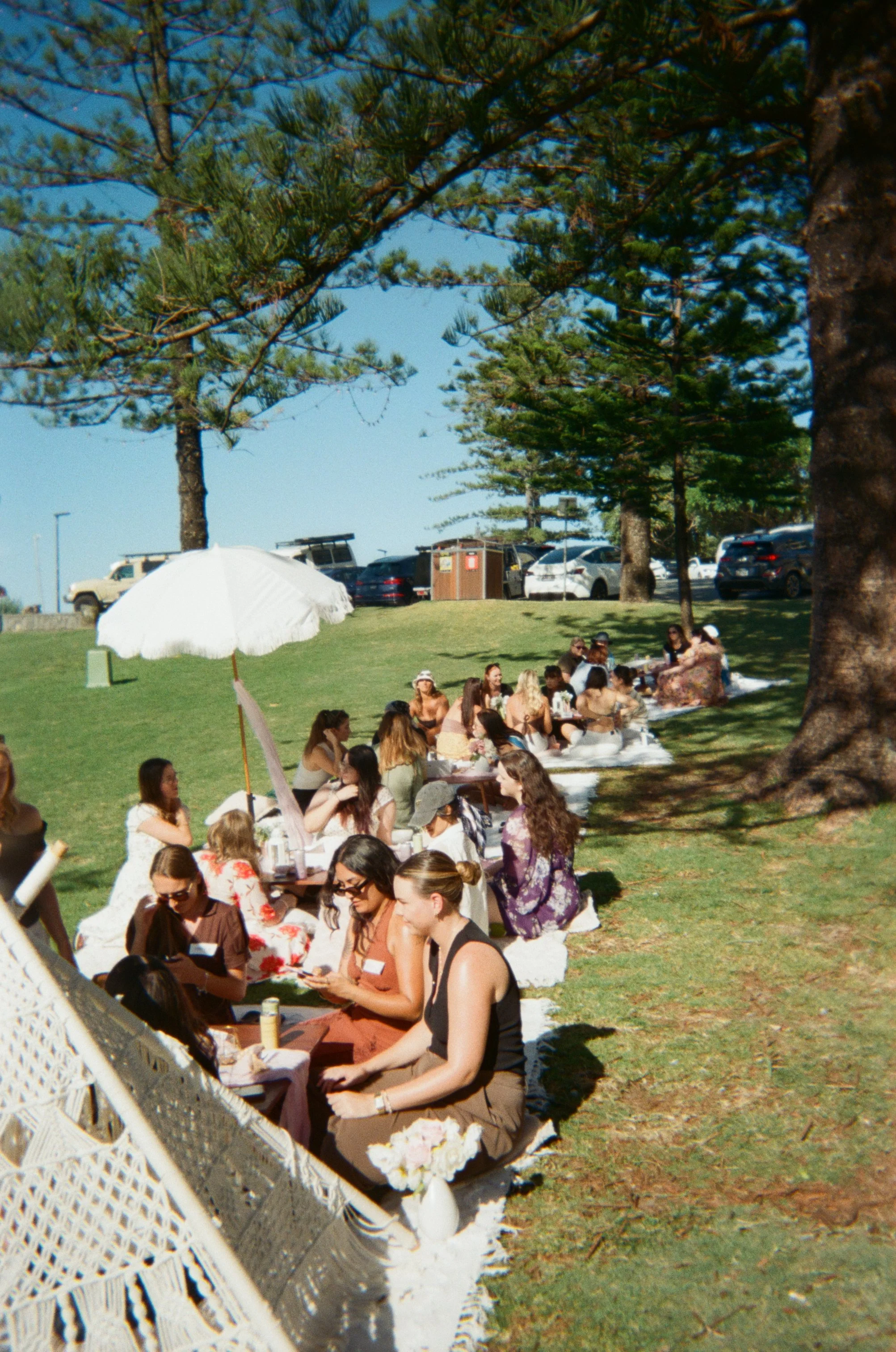 Image22.jpg