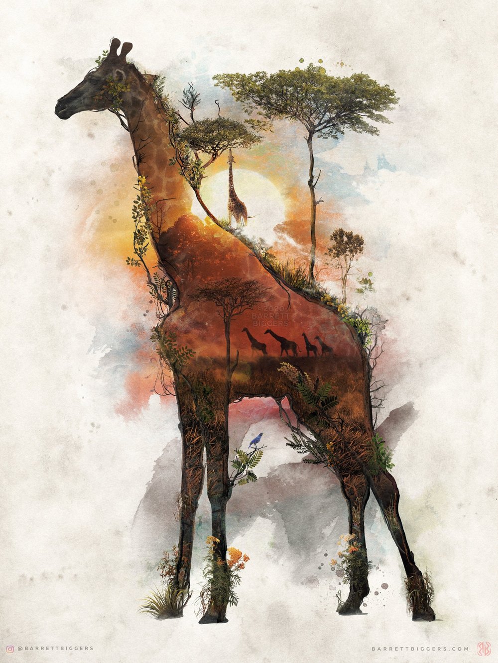 Giraffe T-shirt - Animal Illustration Wild Life T shirt - Animal