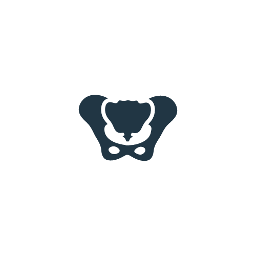 Website Icon - Pelvis.png