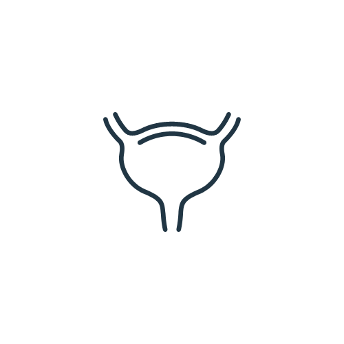 Website Icon - Bladder.png