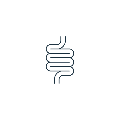 Website Icon - Bowels.png