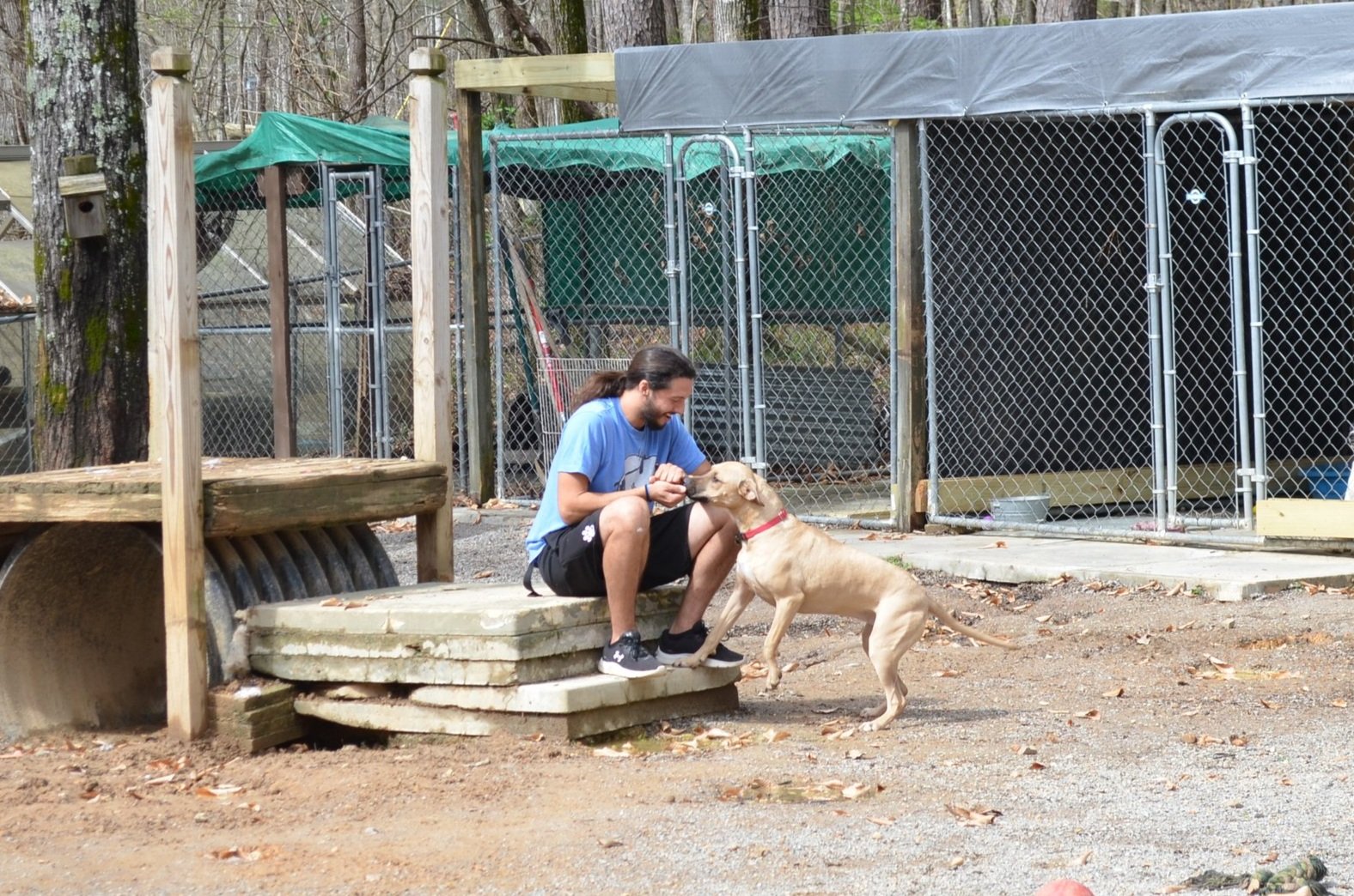 DSC_0972.jpg