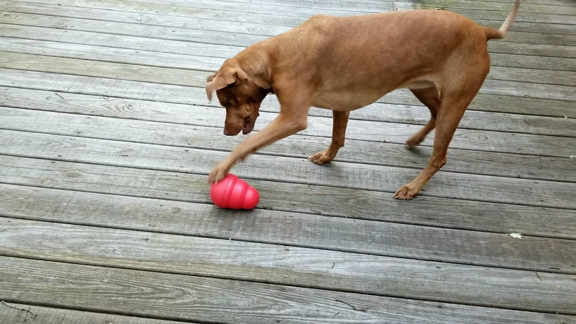 VideoCapture_20250807-100301.jpg