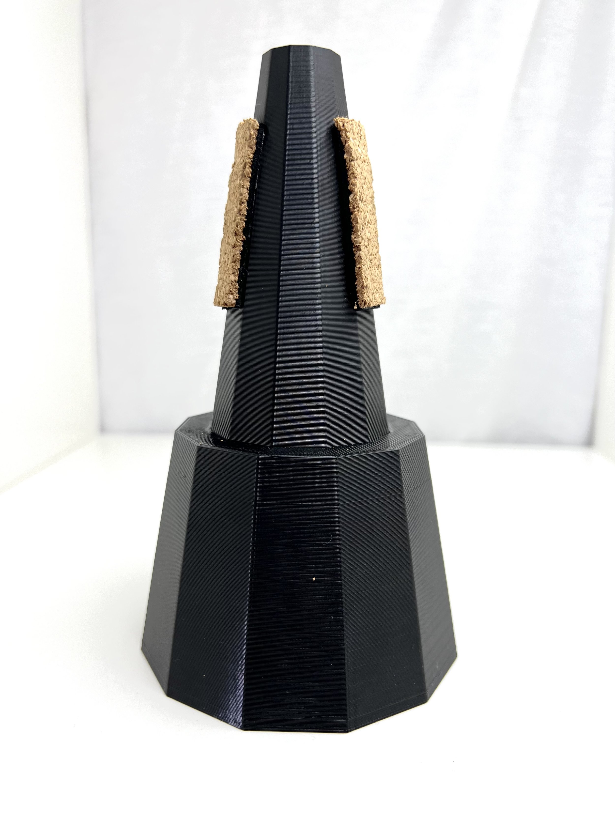 Model 5 mute.jpg