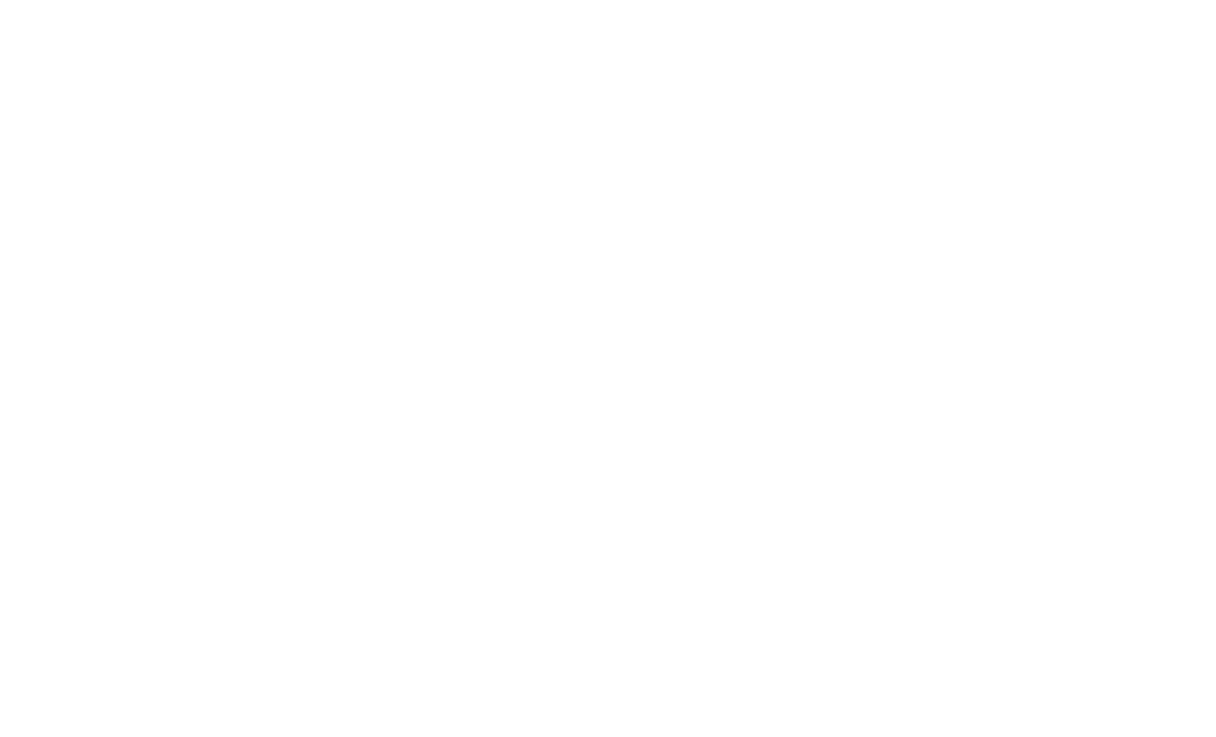 dunk!festival