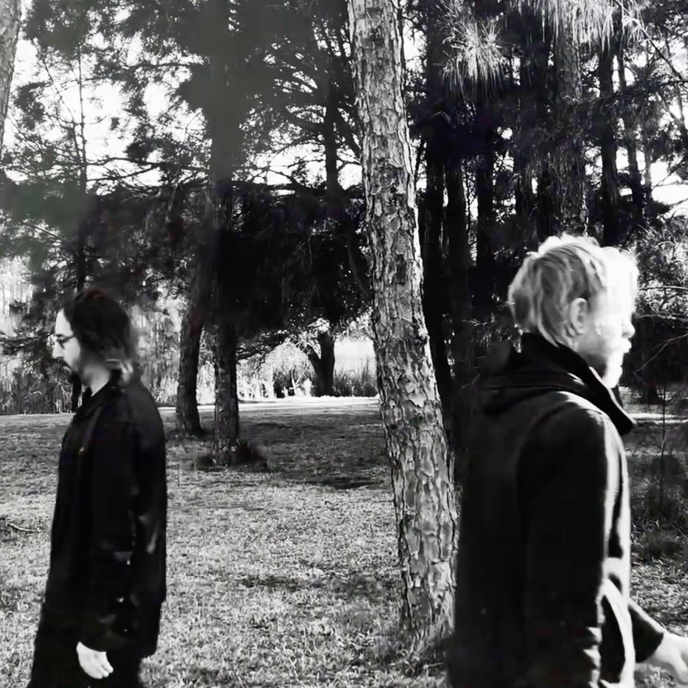 The Sea Shall Not Have Them