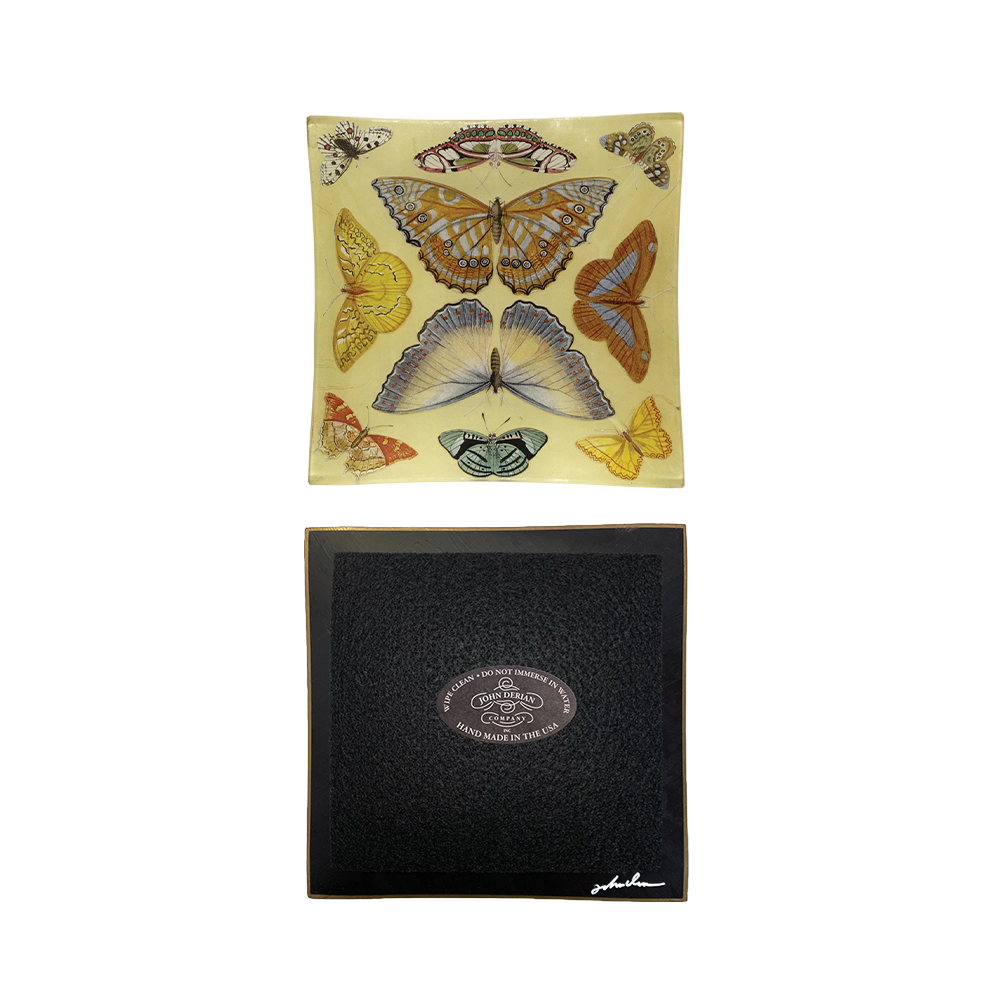 ButterflyCollectionTray_Bottom.png