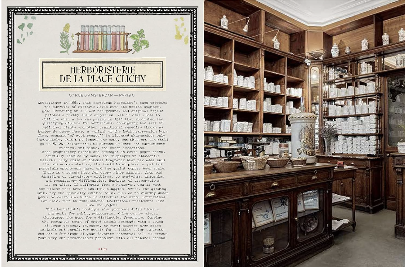 Screenshot 2026-02-11 at 1.32.49 PM.png