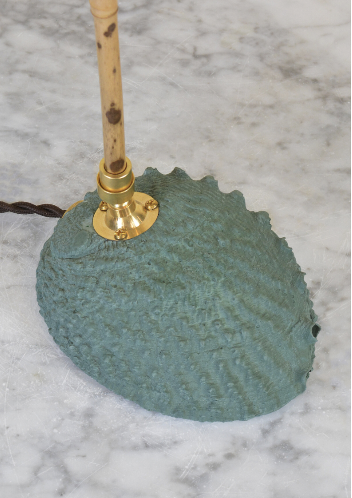 Screenshot 2026-01-14 at 12.06.40 PM.png