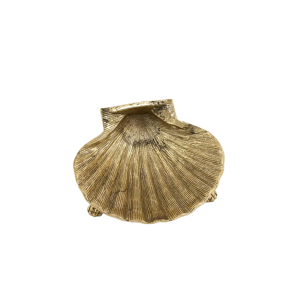 ScarlettShellPlate_Large2.png