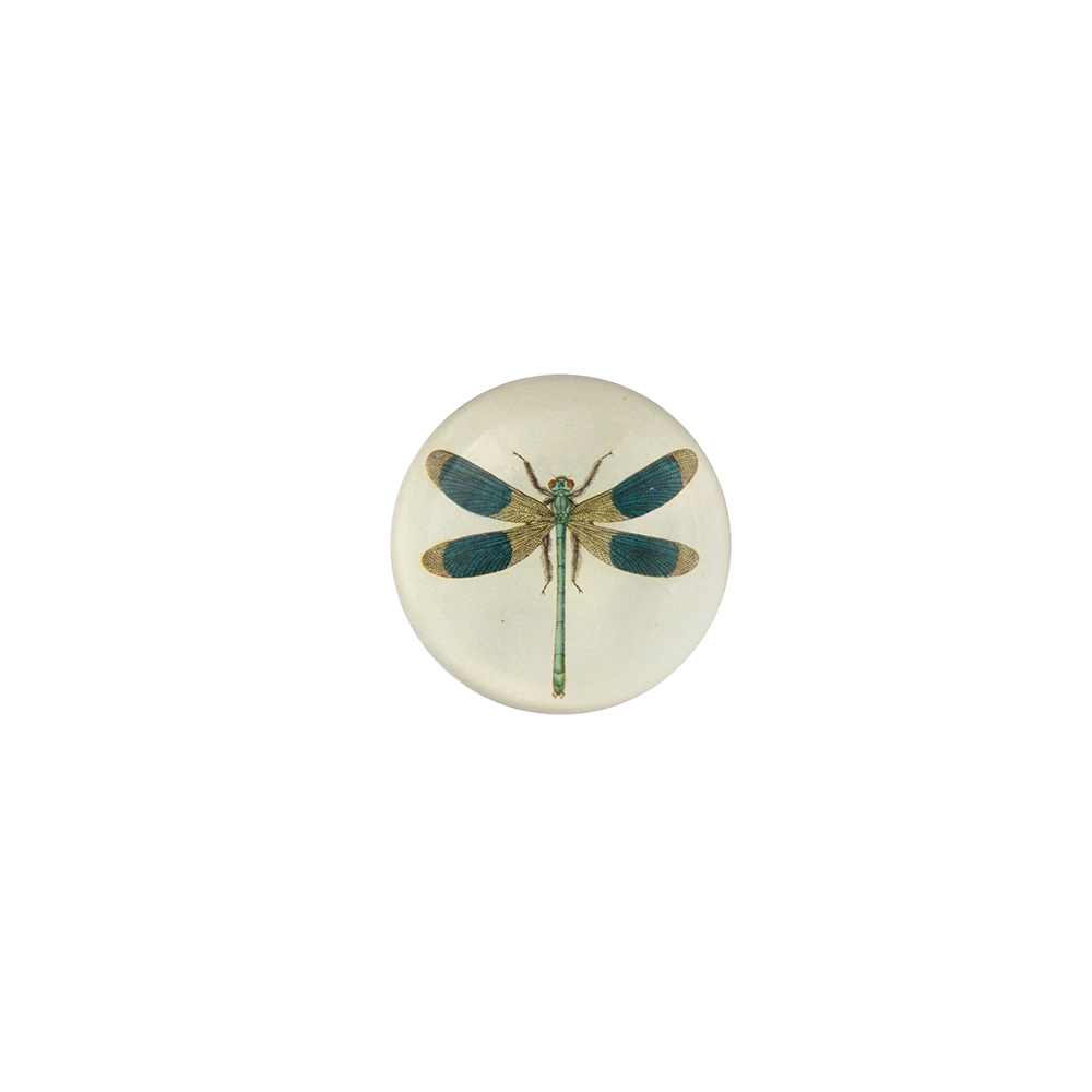 DragonflyPaperweight.png