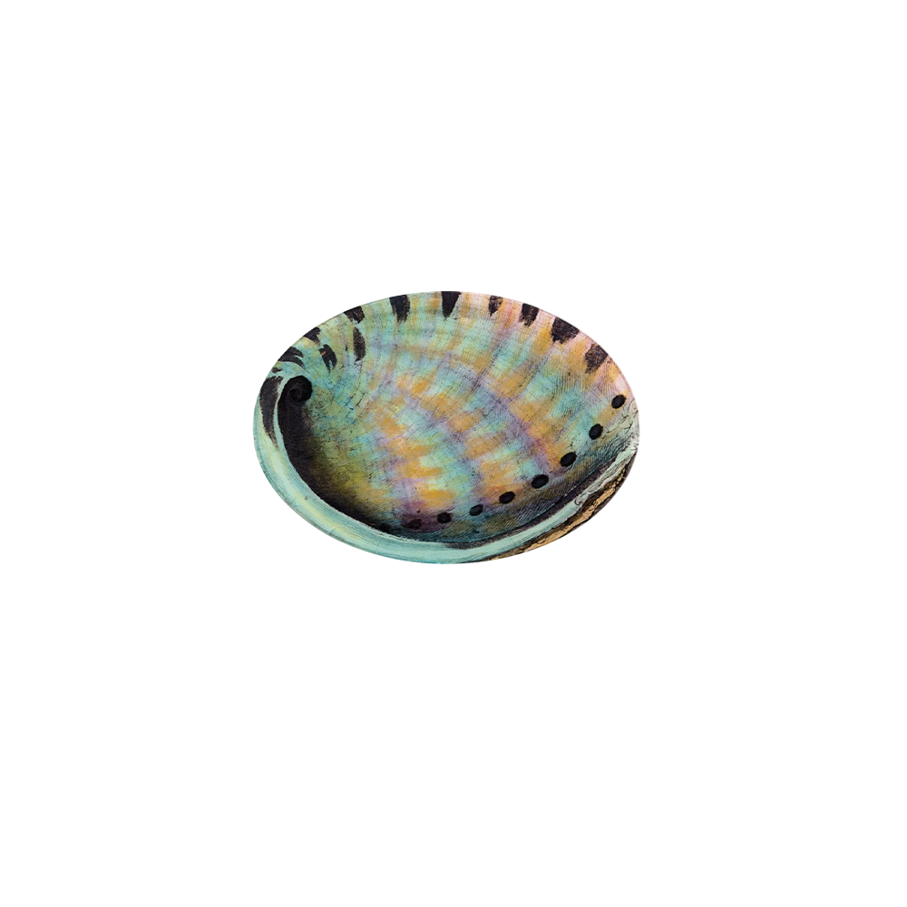 AbalonePlate.png
